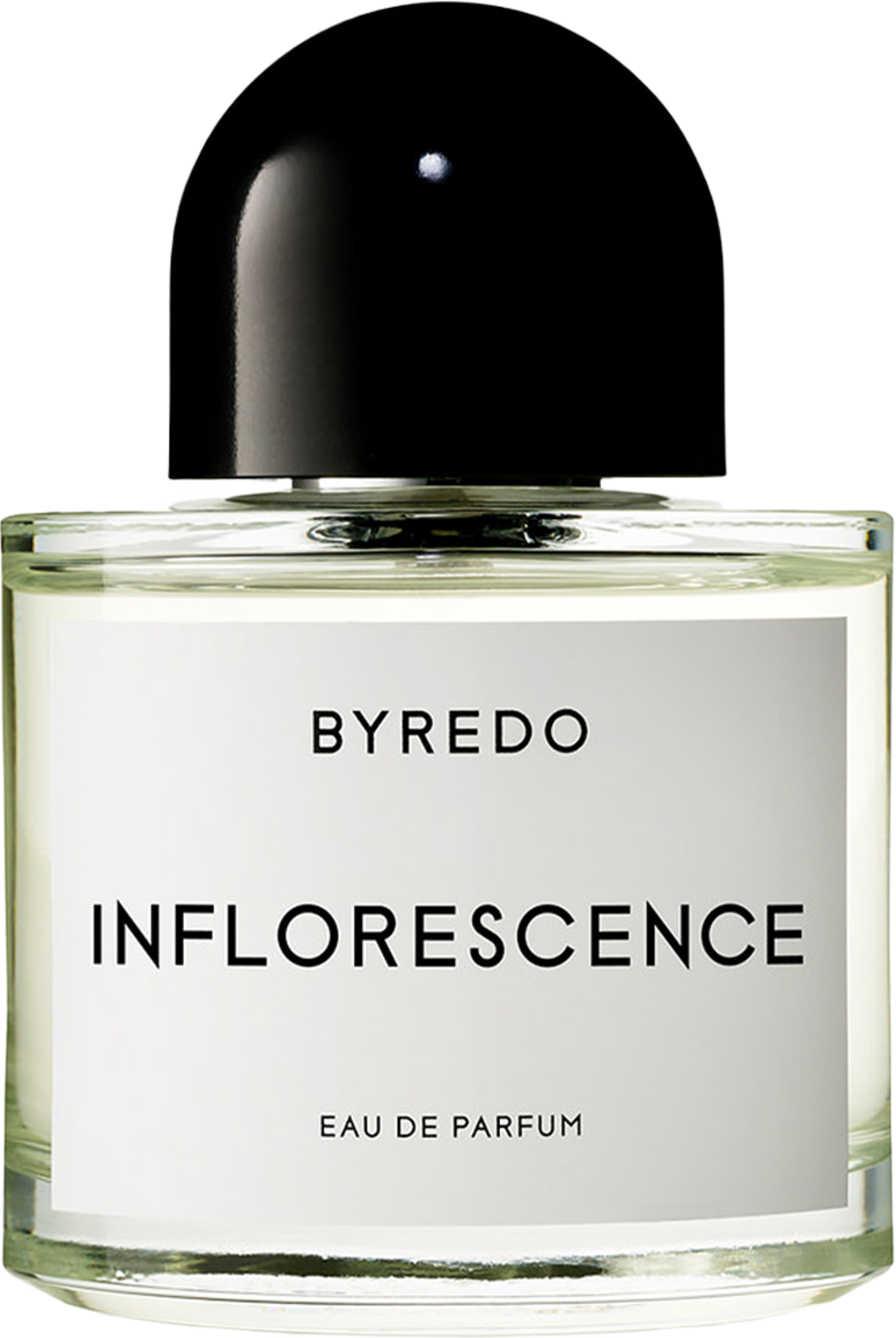 Inflorescence EdP