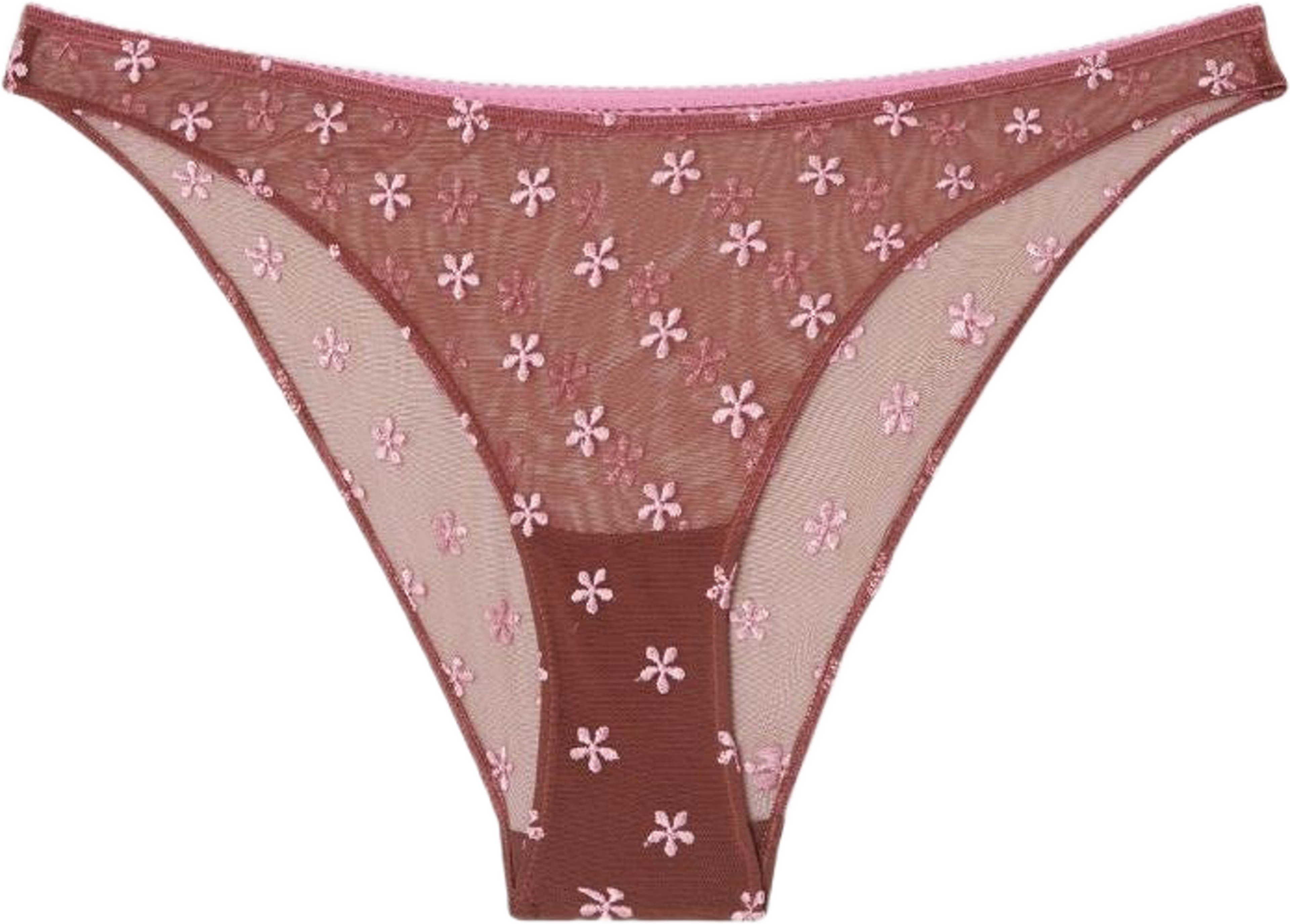 Mesh Bikini Briefs