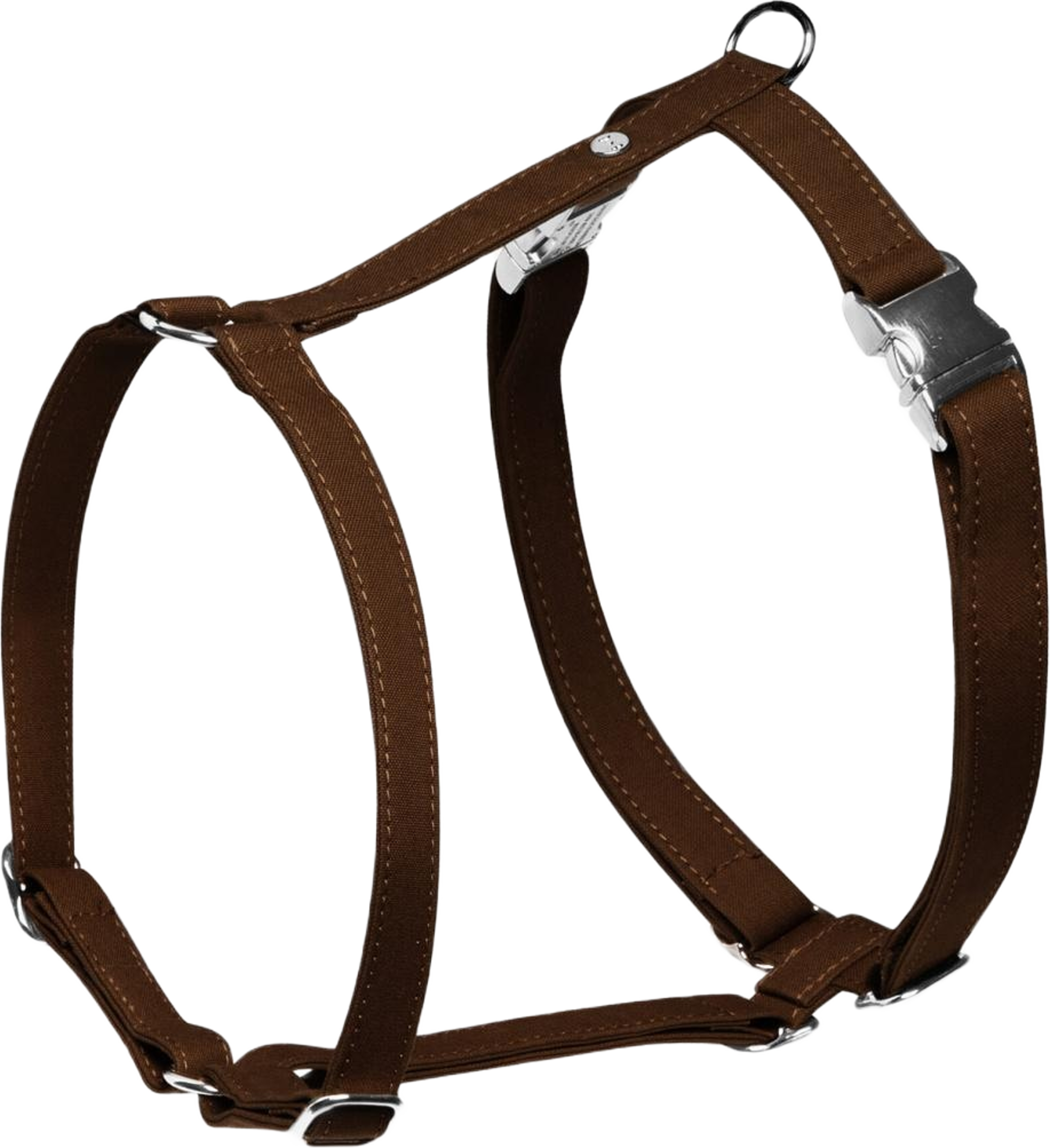 Hundsele Signature Go Chocolate - Denjo Dogs