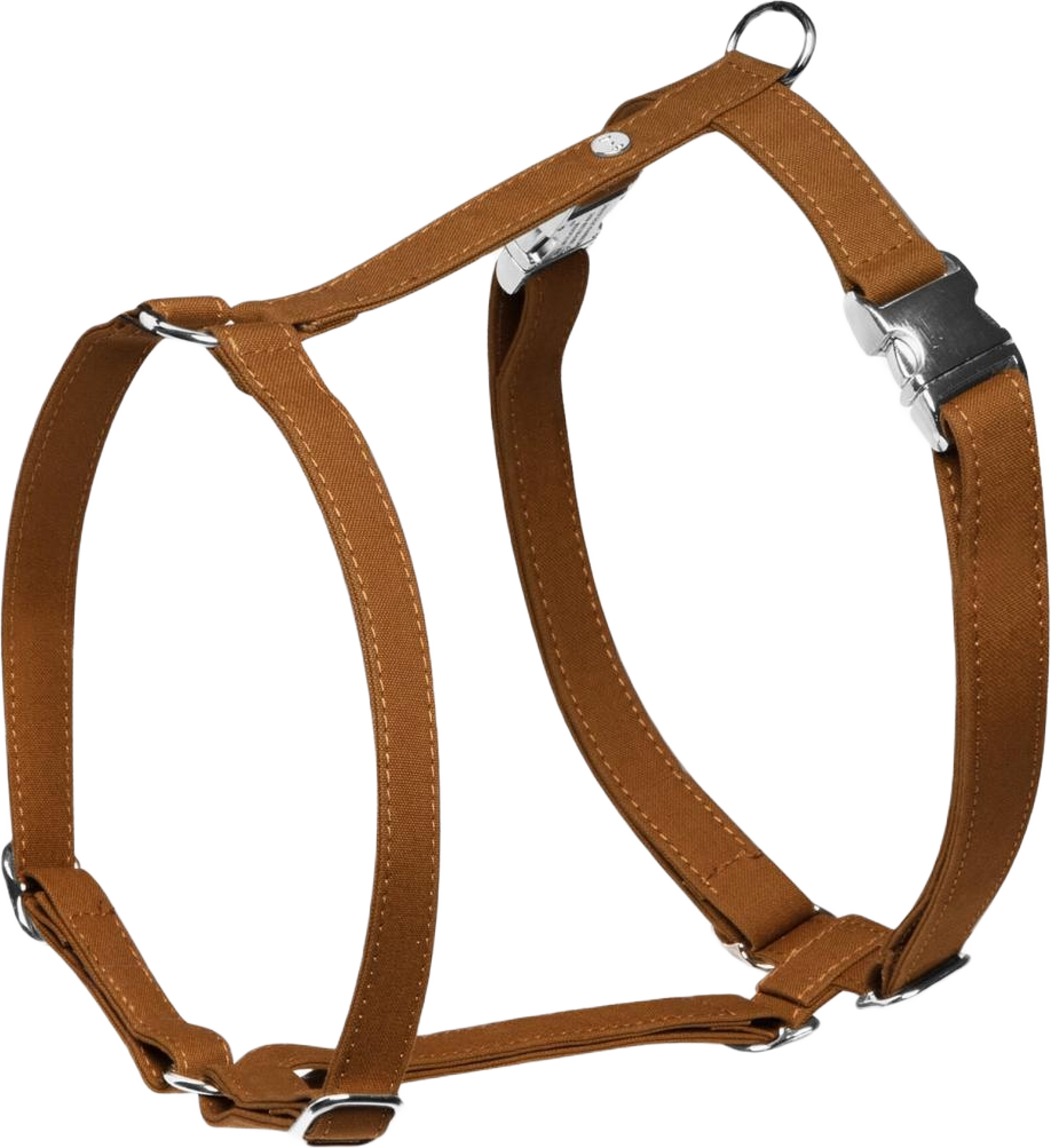 Hundsele Signature Go Chocolate - Denjo Dogs