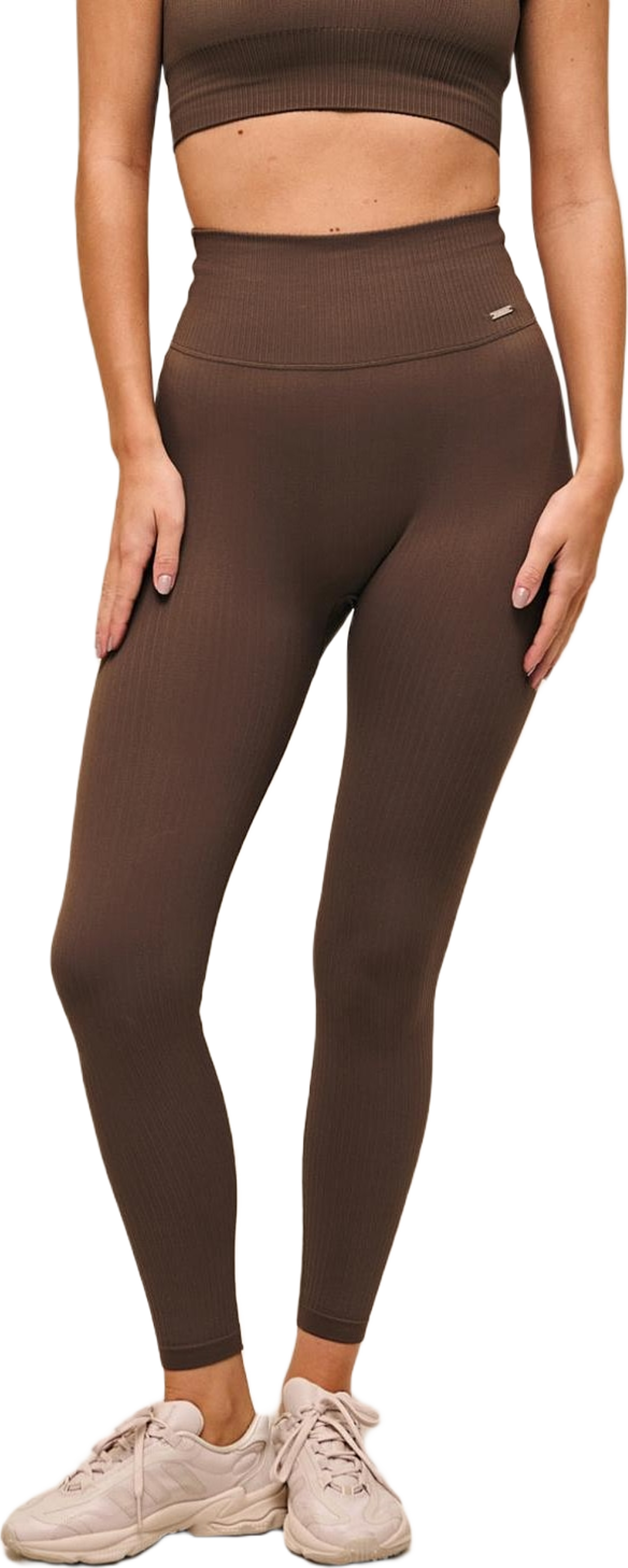 Macchiato Ribbed Seamless Tights