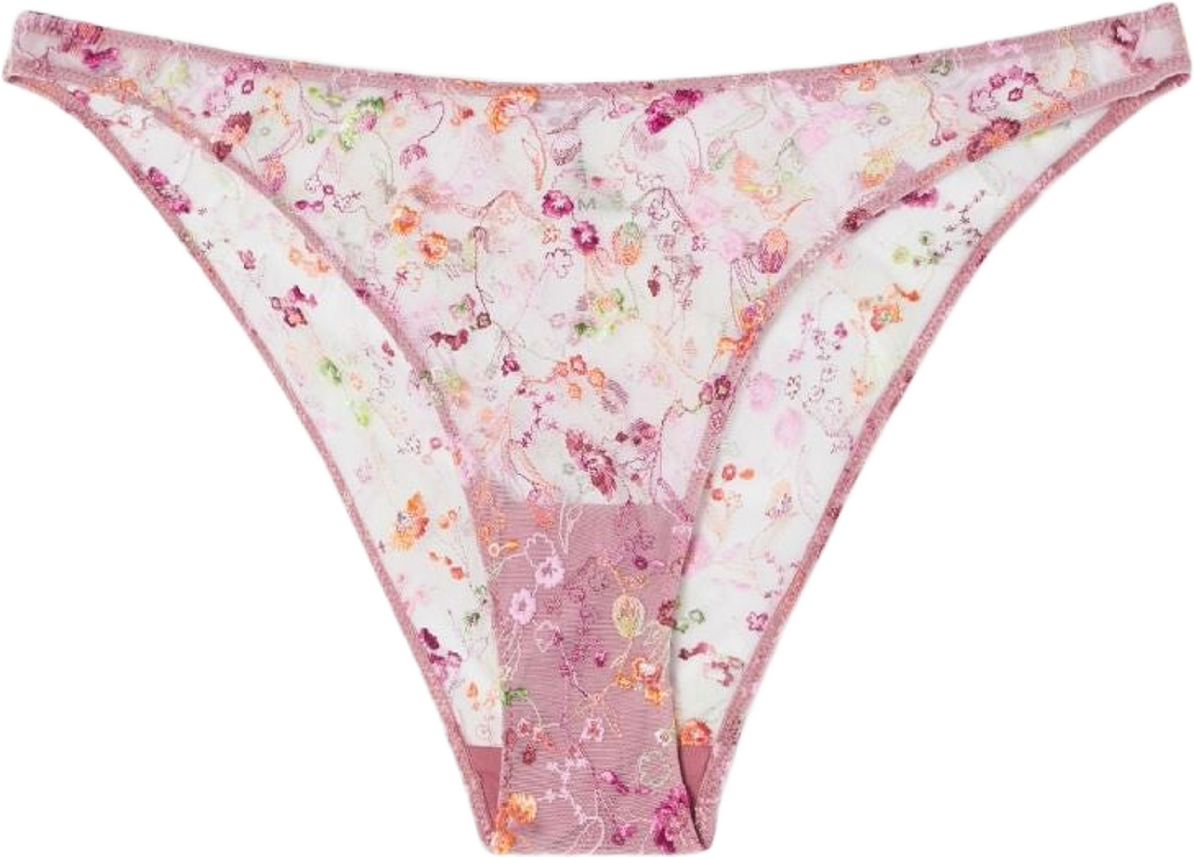 Mesh Bikini Briefs