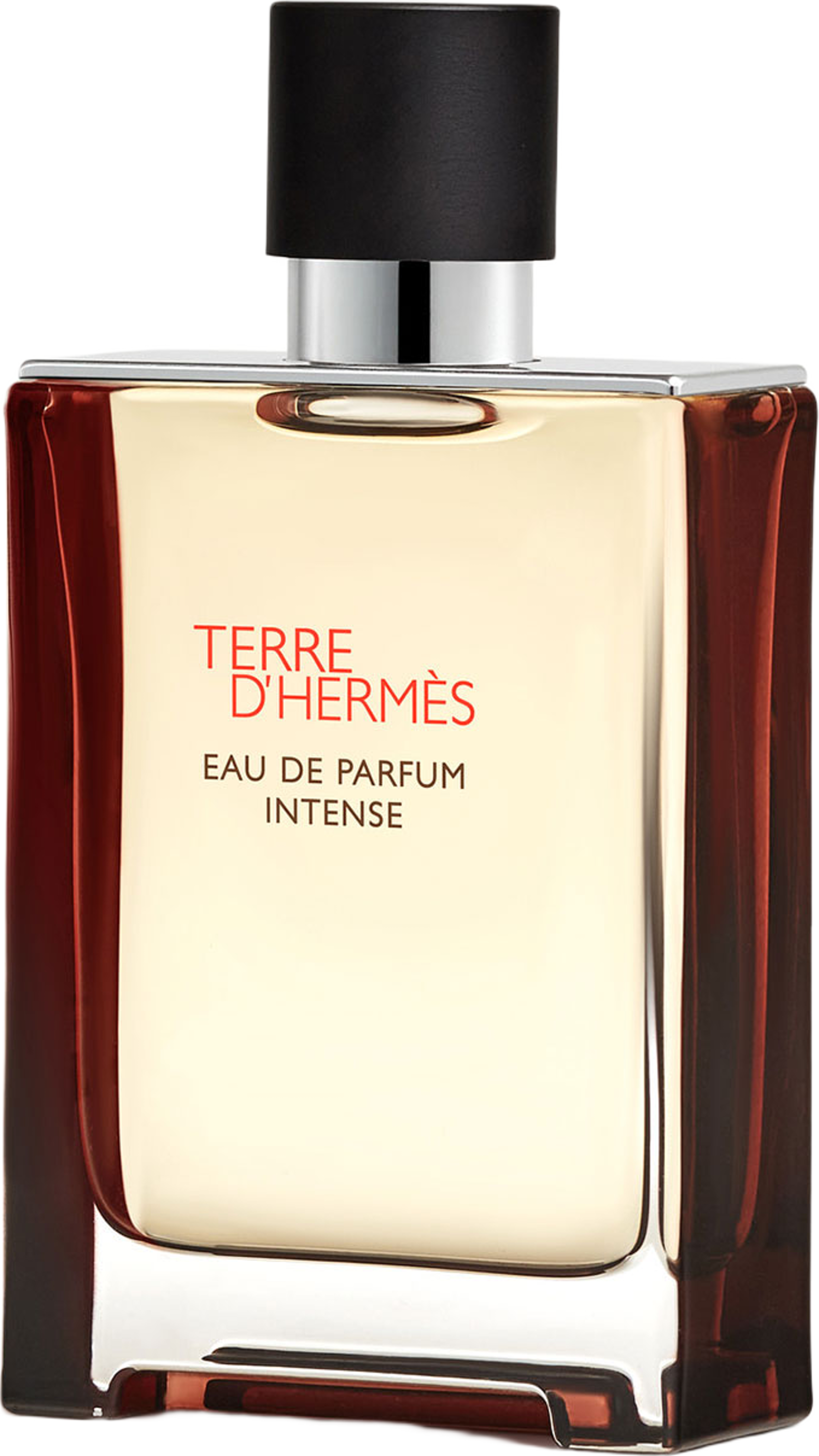 Terre D'hermès Eau de Parfum Intense Natural Spray