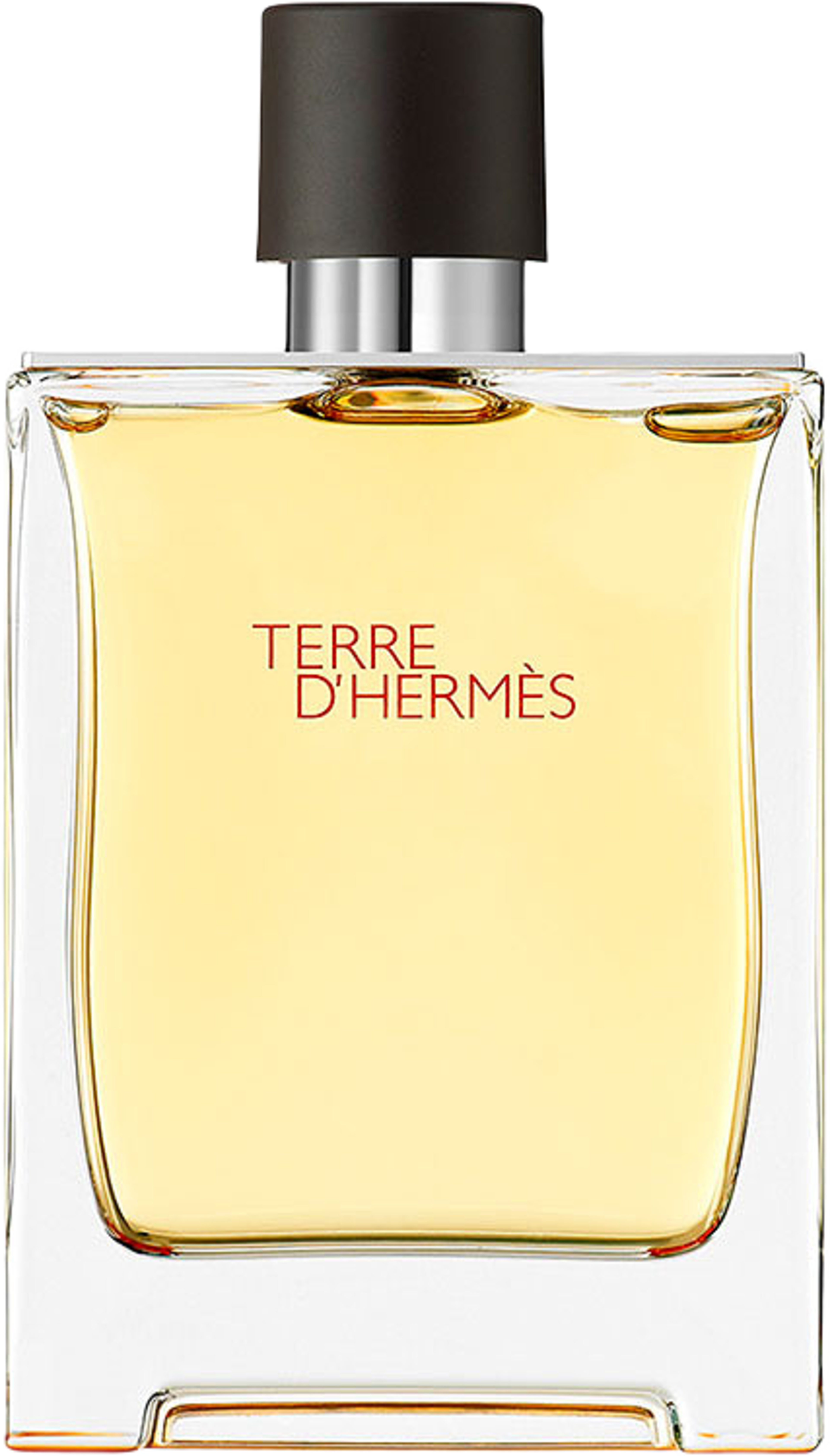 Terre d'Hermès Eau de Parfum