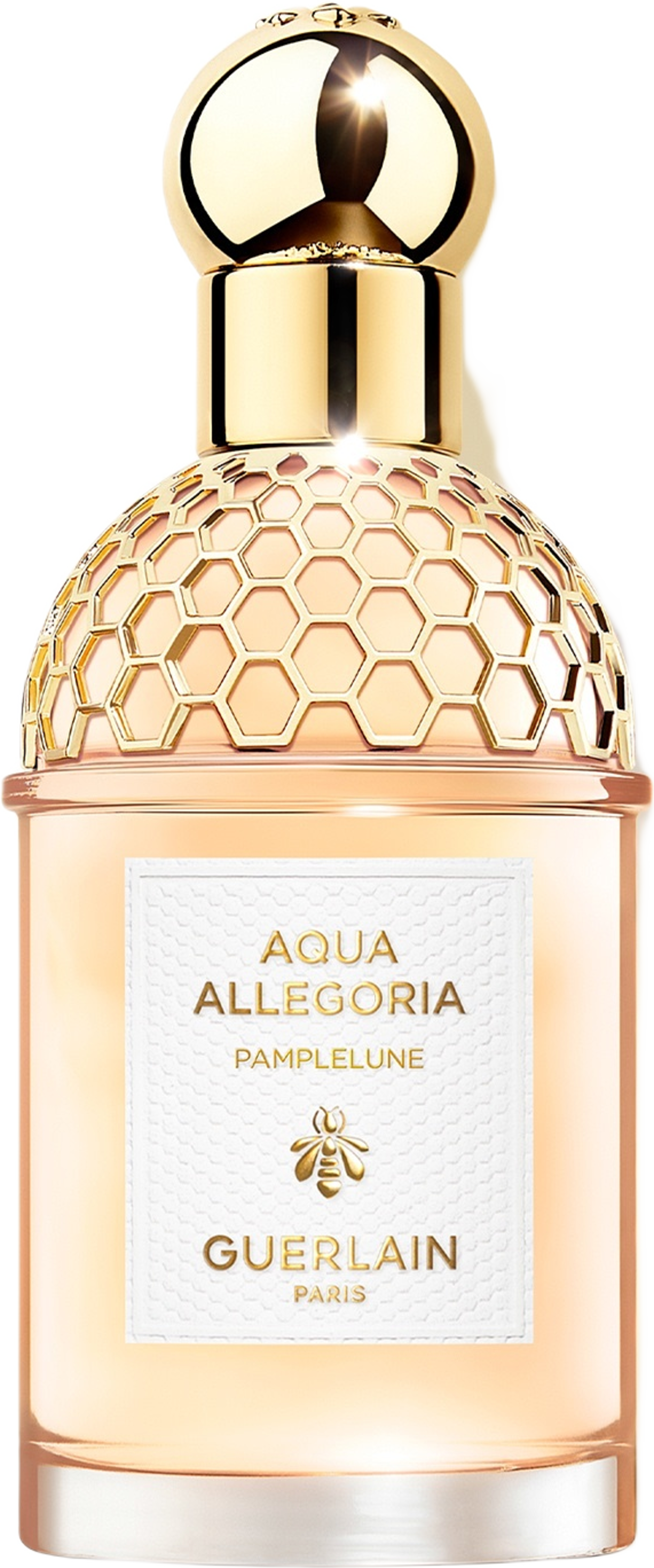 Aqua Allegoria Pamplelune EdT