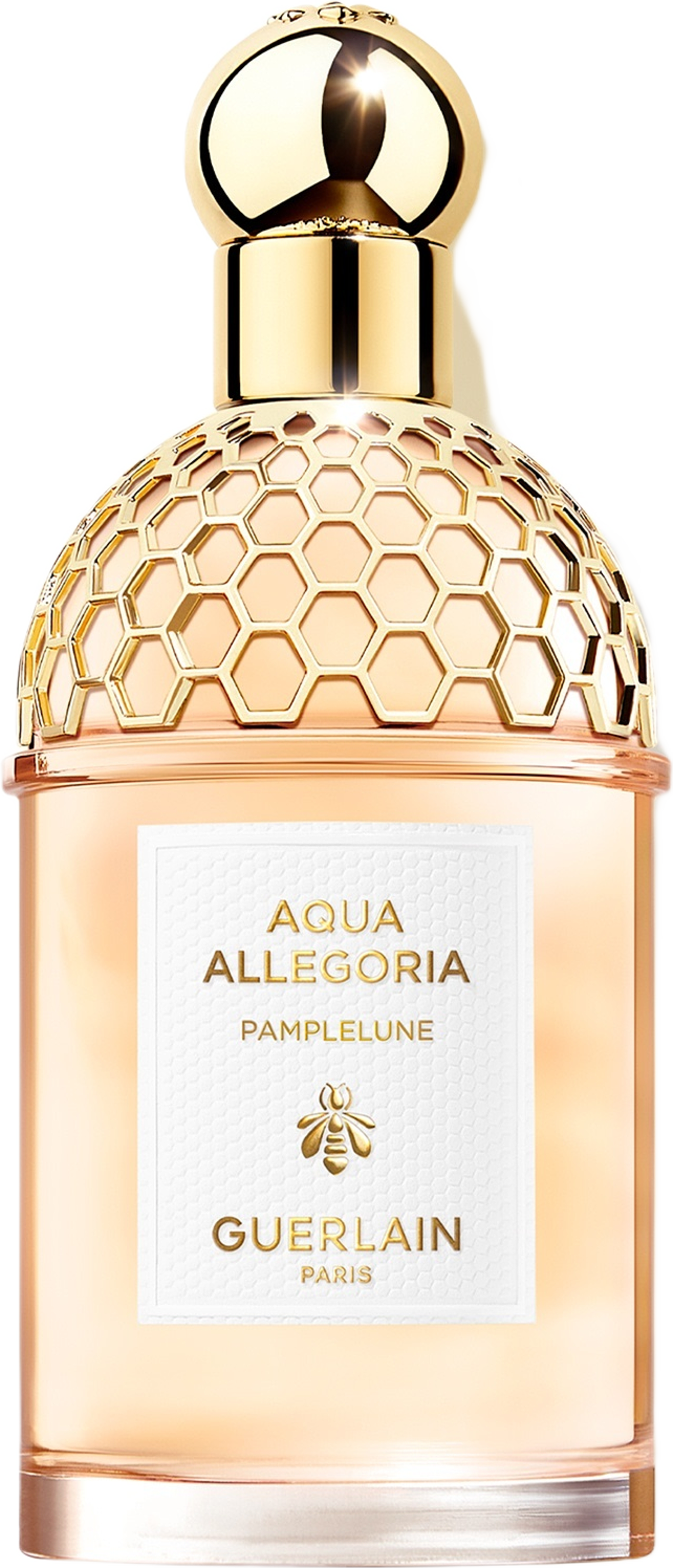 Aqua Allegoria Pamplelune EdT