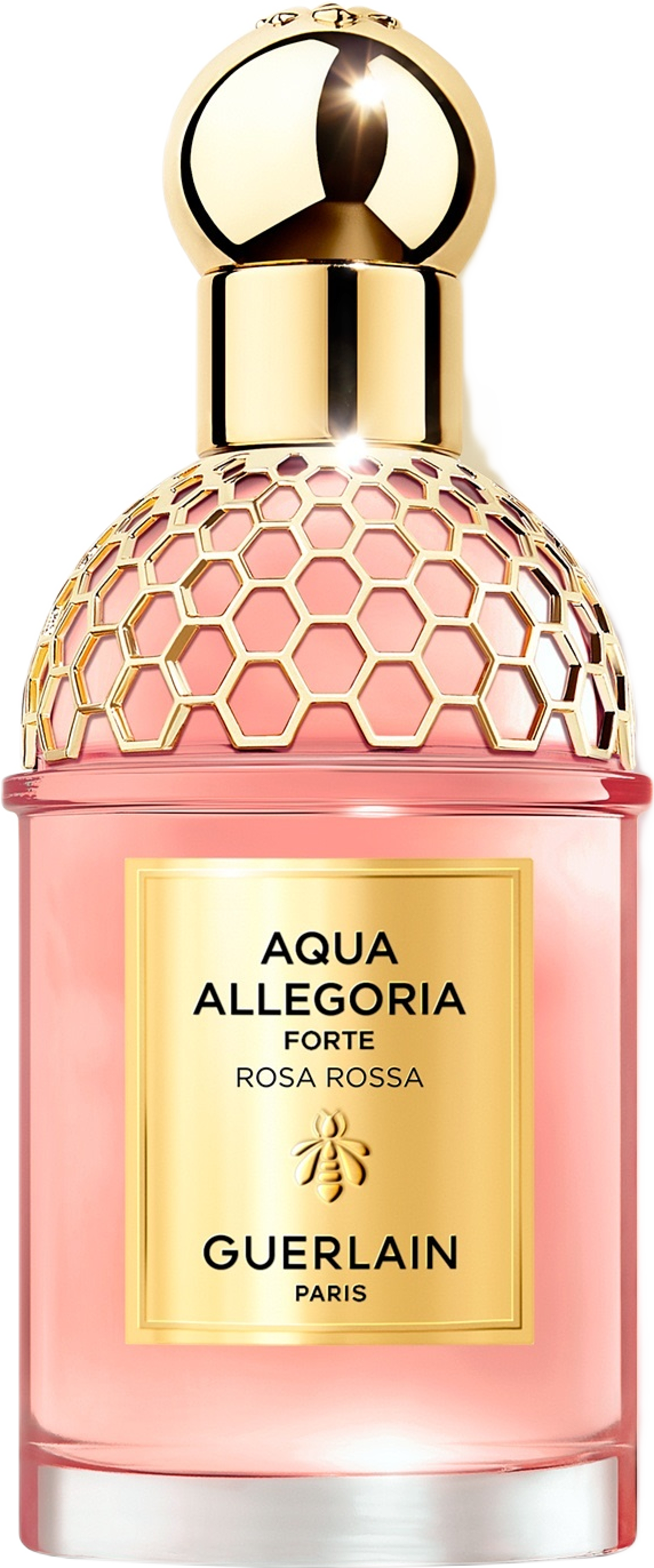 Aqua Allegoria Forte Rosa Rossa EdP