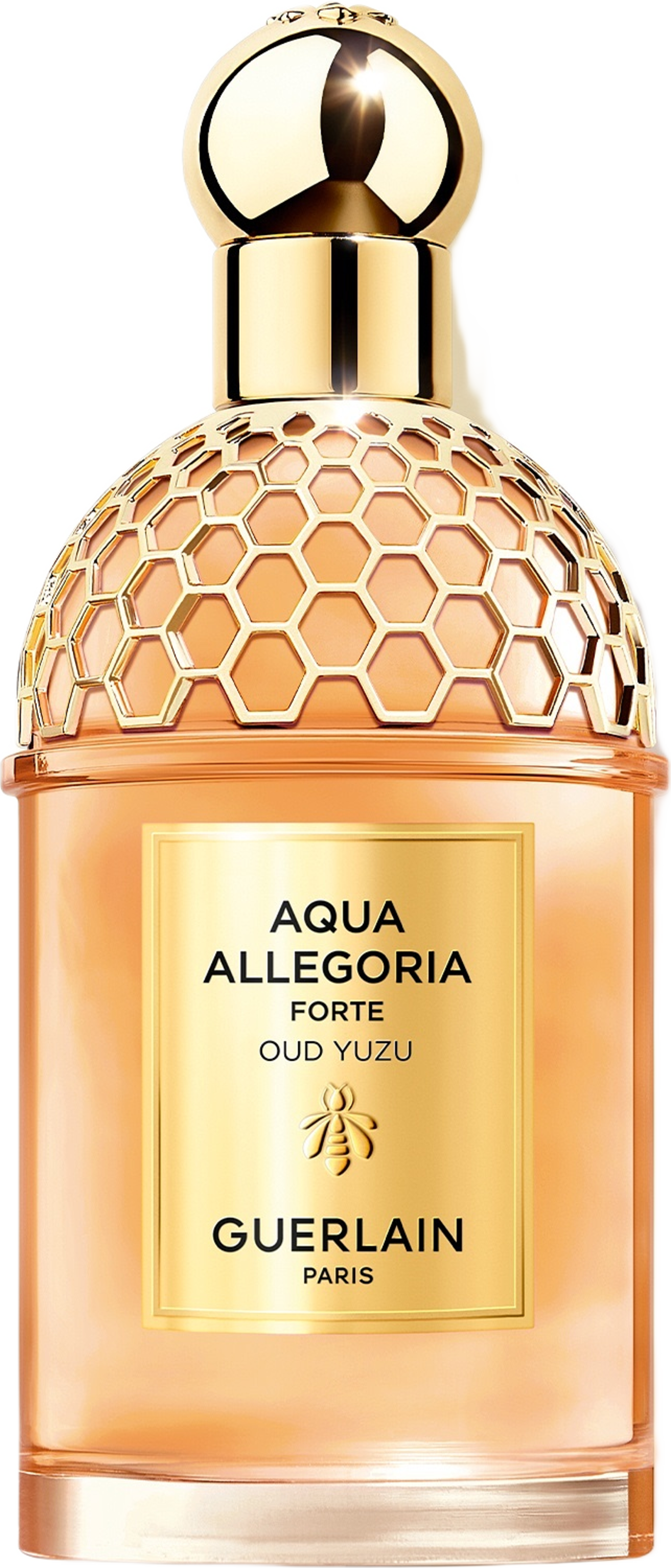 Aqua Allegoria Forte Oud Yuzu EdP