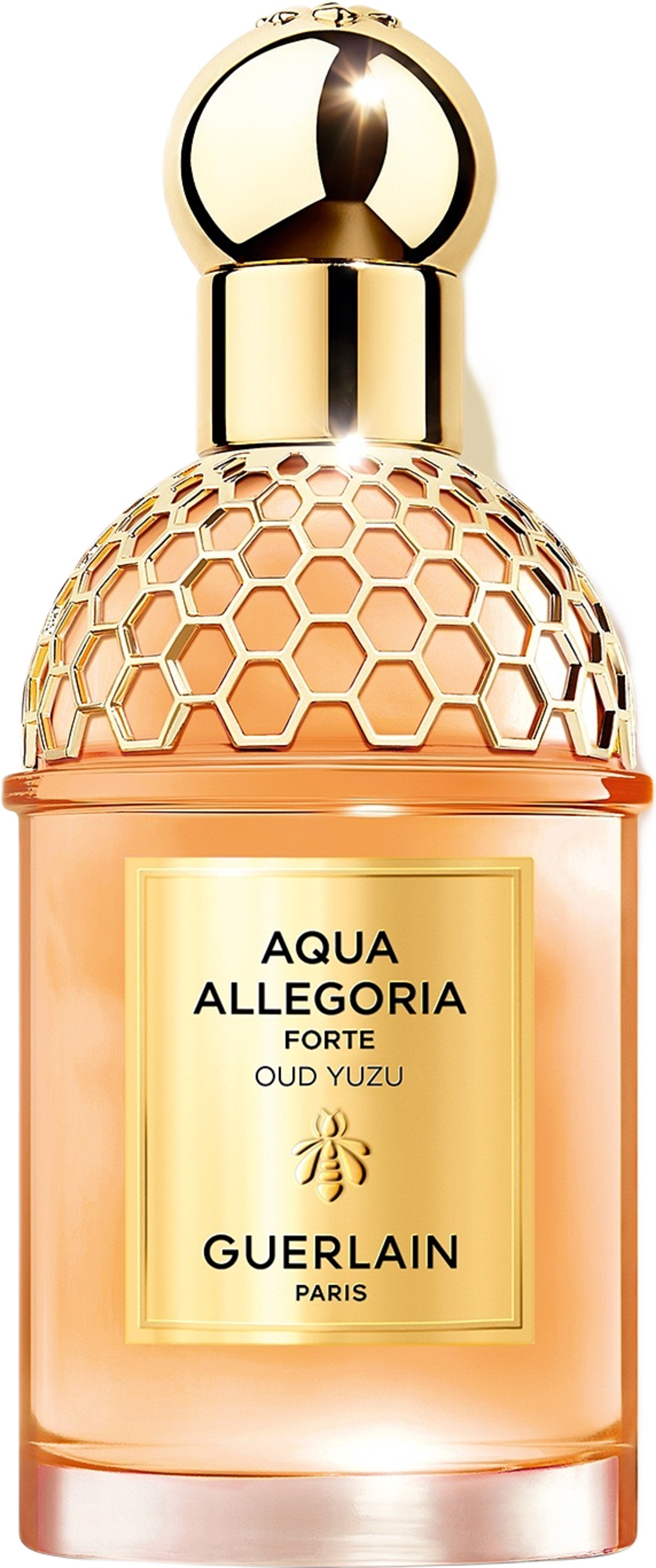Aqua Allegoria Forte Oud Yuzu EdP