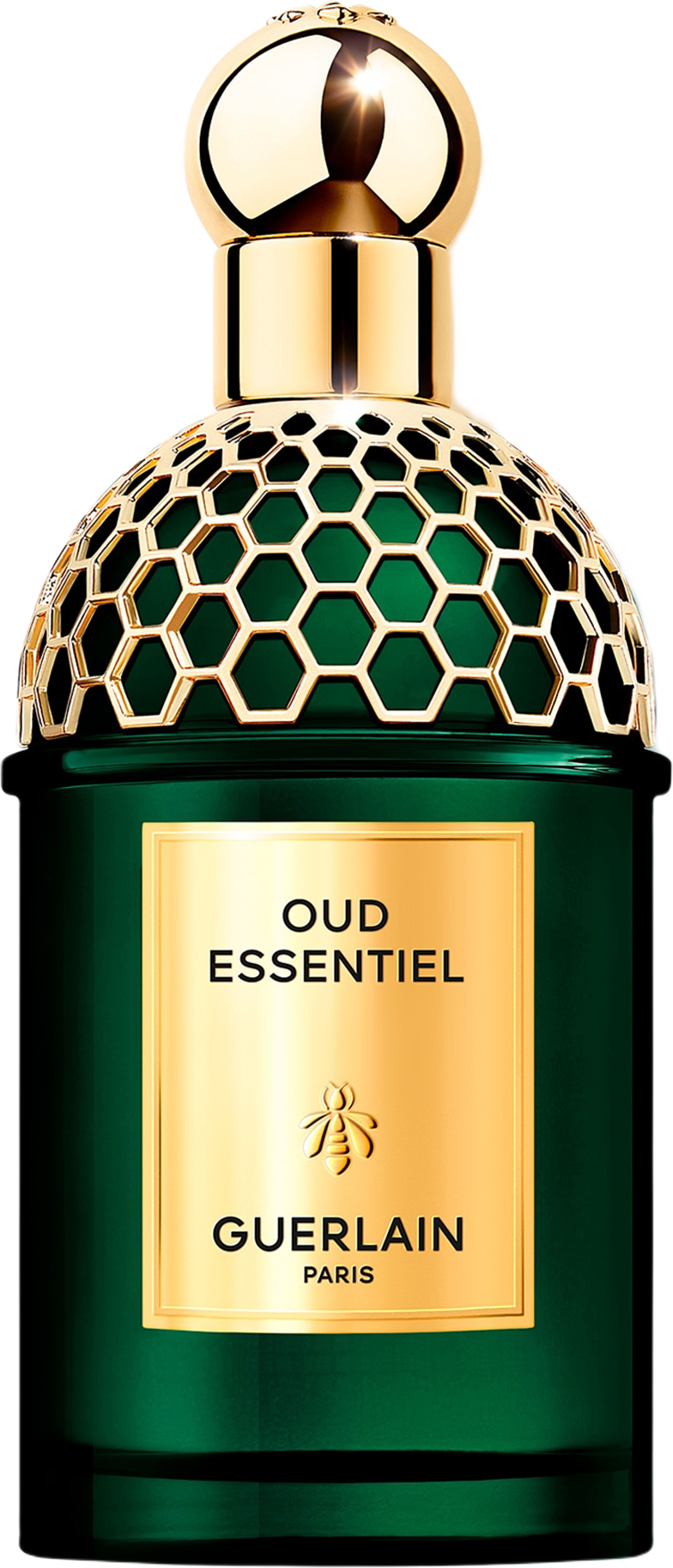 Absolus Allegoria Oud Essentiel EdP