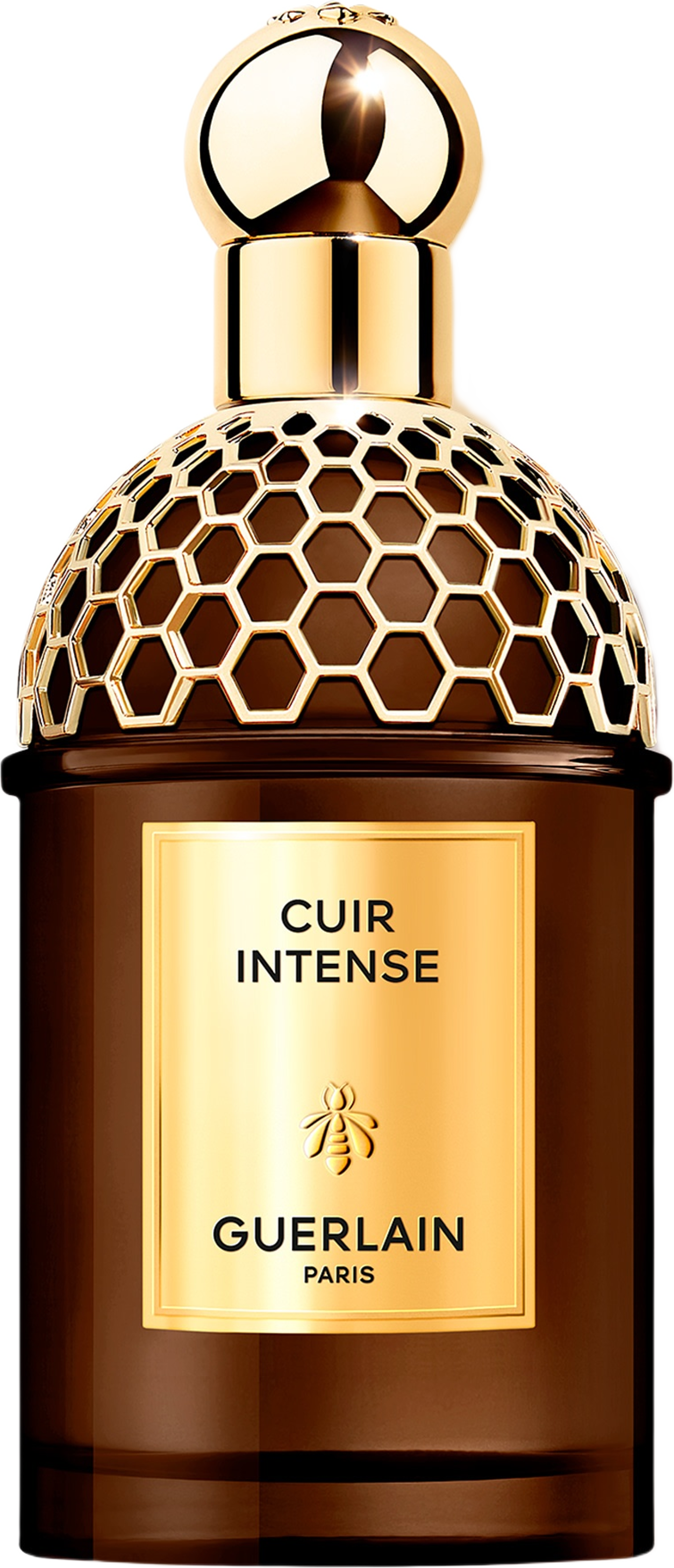 Absolus Allegoria Cuir Intense EdP