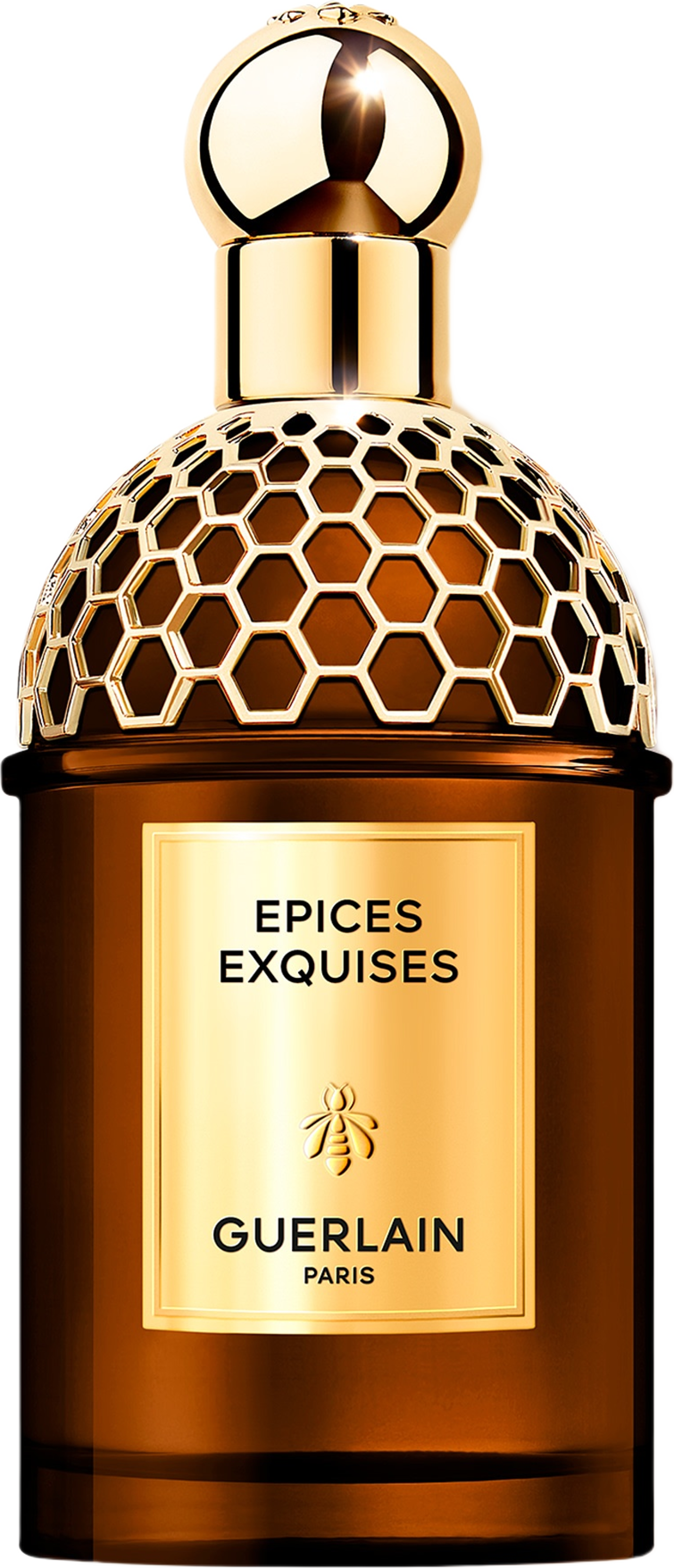 Absolus Allegoria Epices Exquises