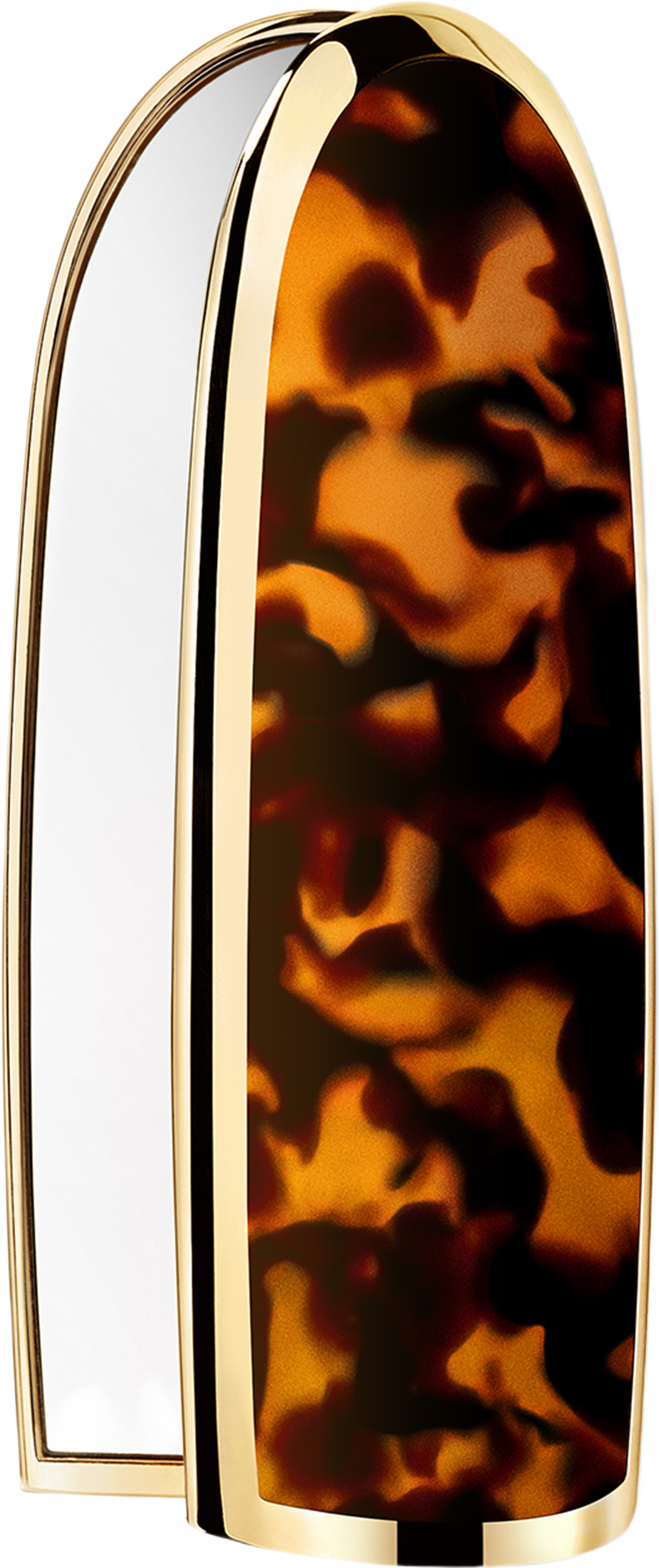 Rouge G 24 Lips Case