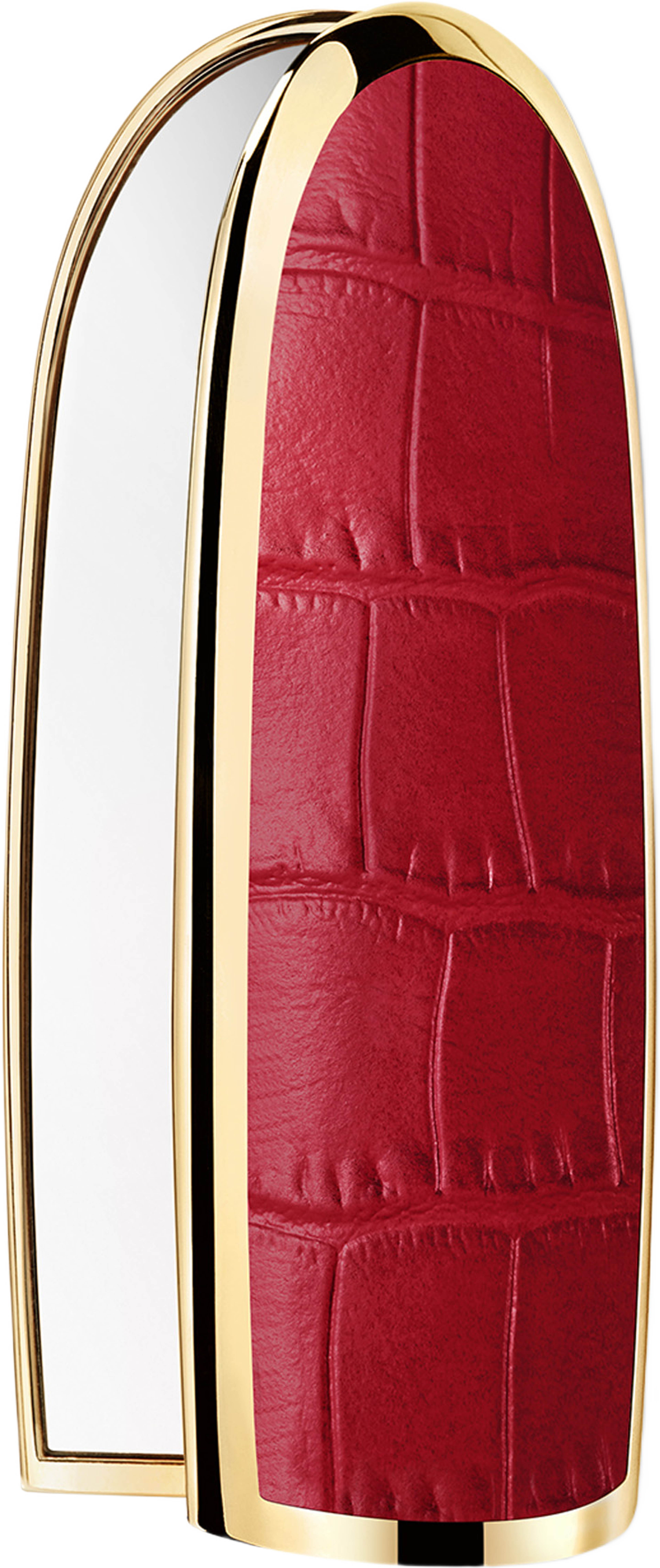 Rouge G 24 Lips Case