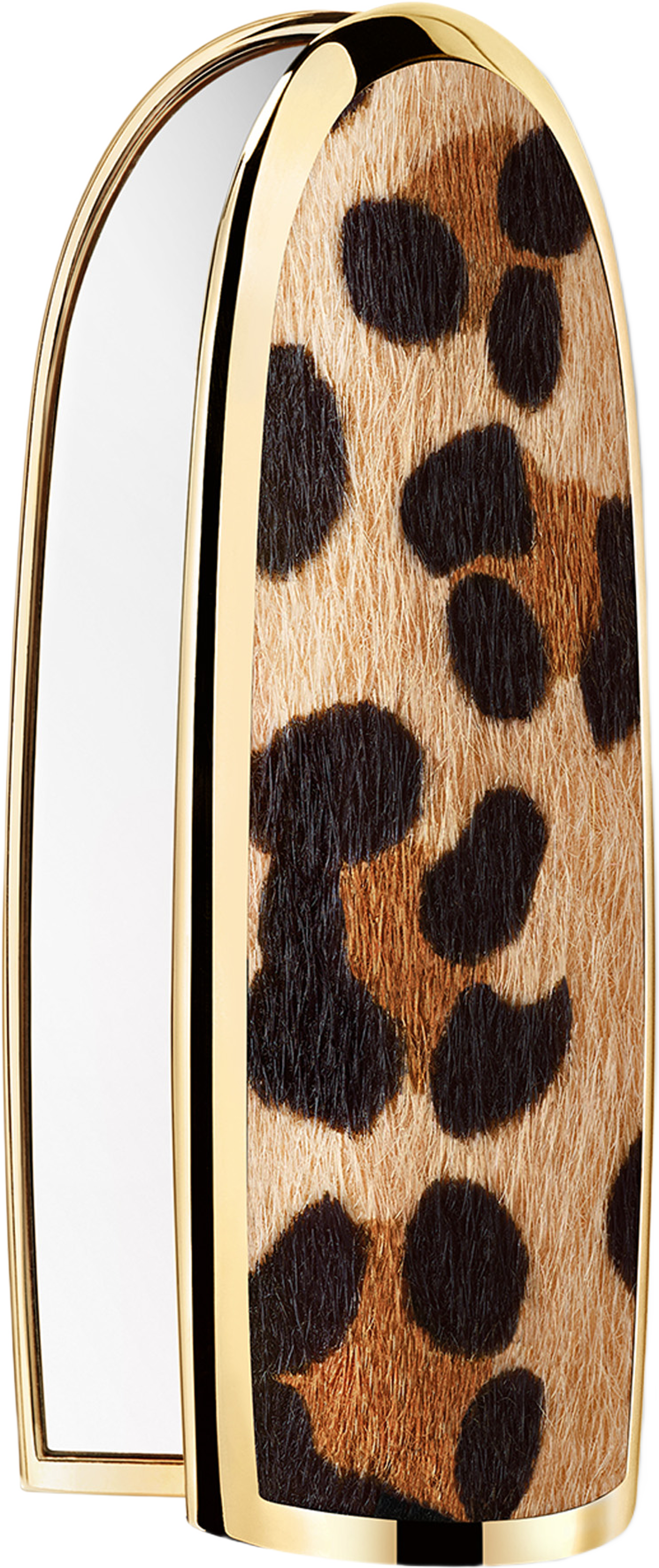 Rouge G 24 Lips Case