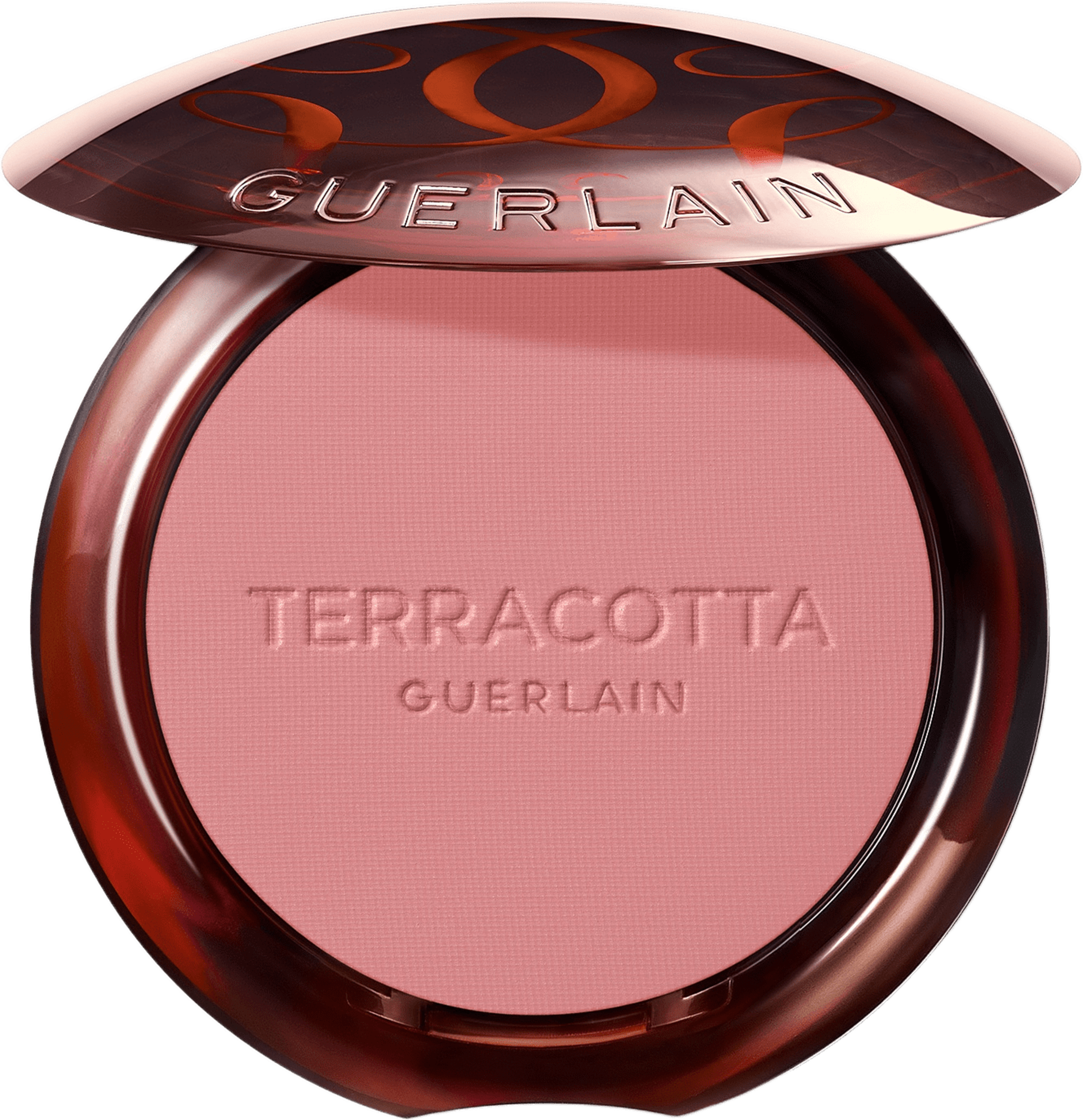 Terra Healthy Glow Powder Blush