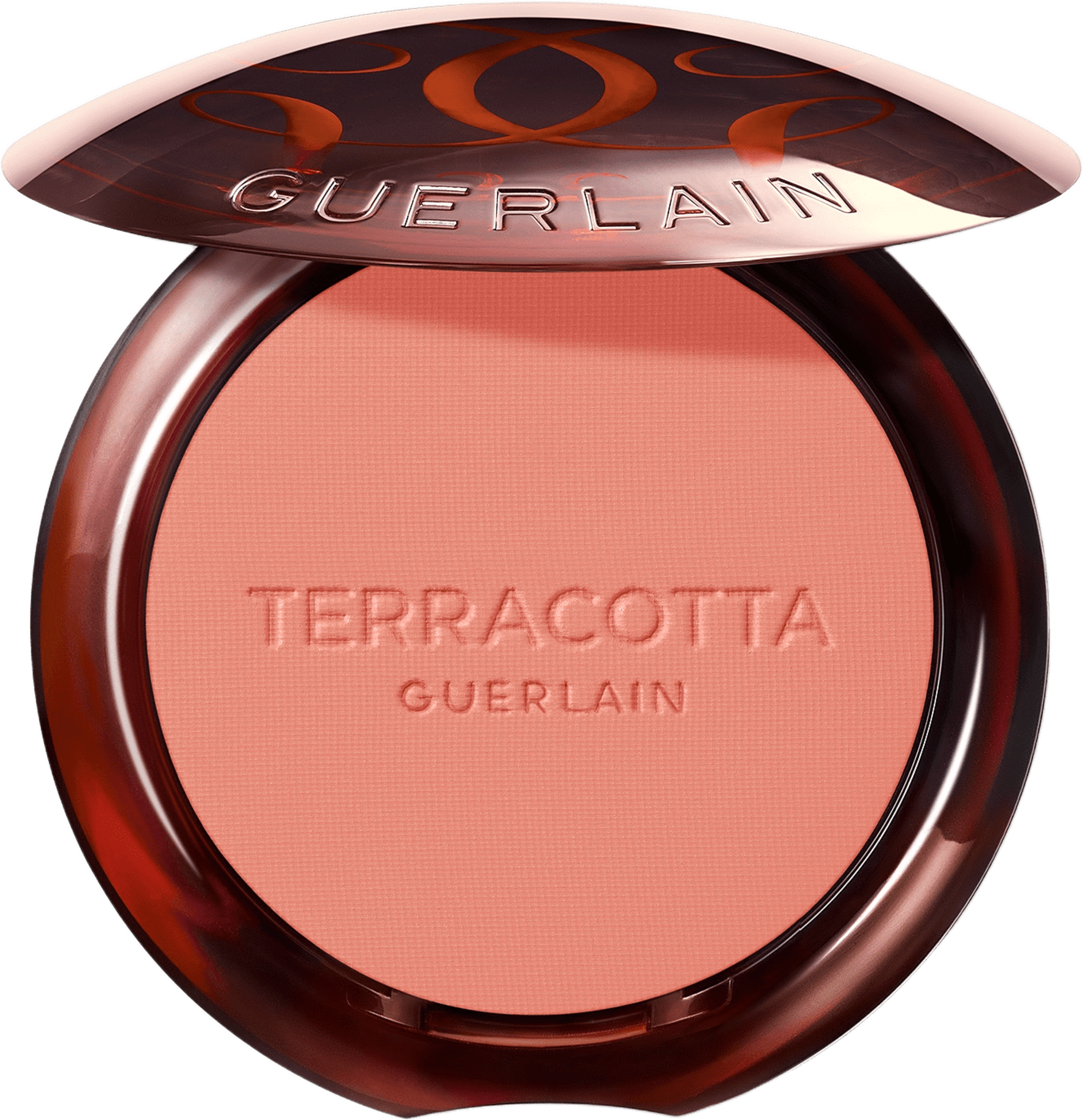 Terra Healthy Glow Powder Blush
