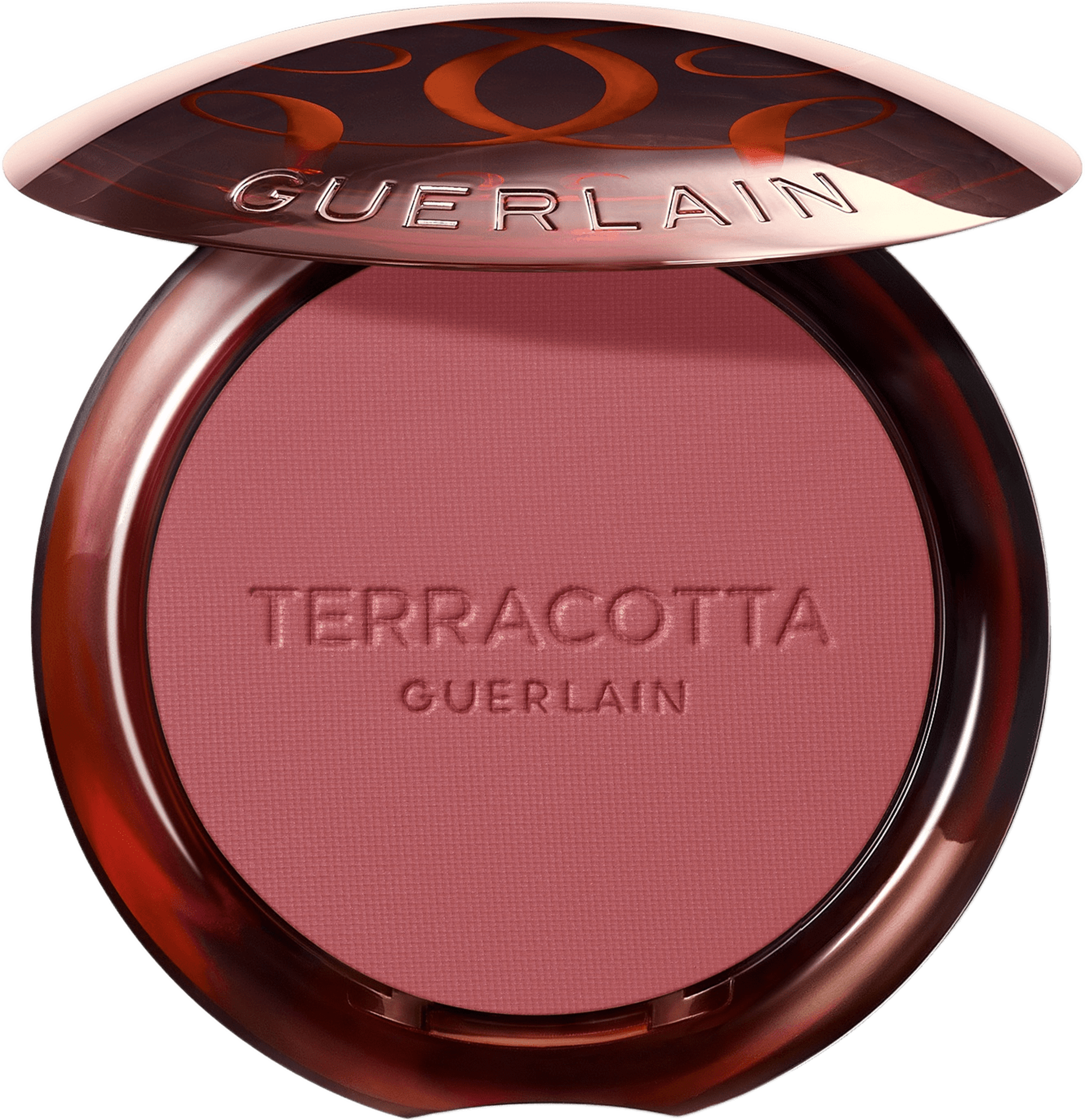 Terra Healthy Glow Powder Blush