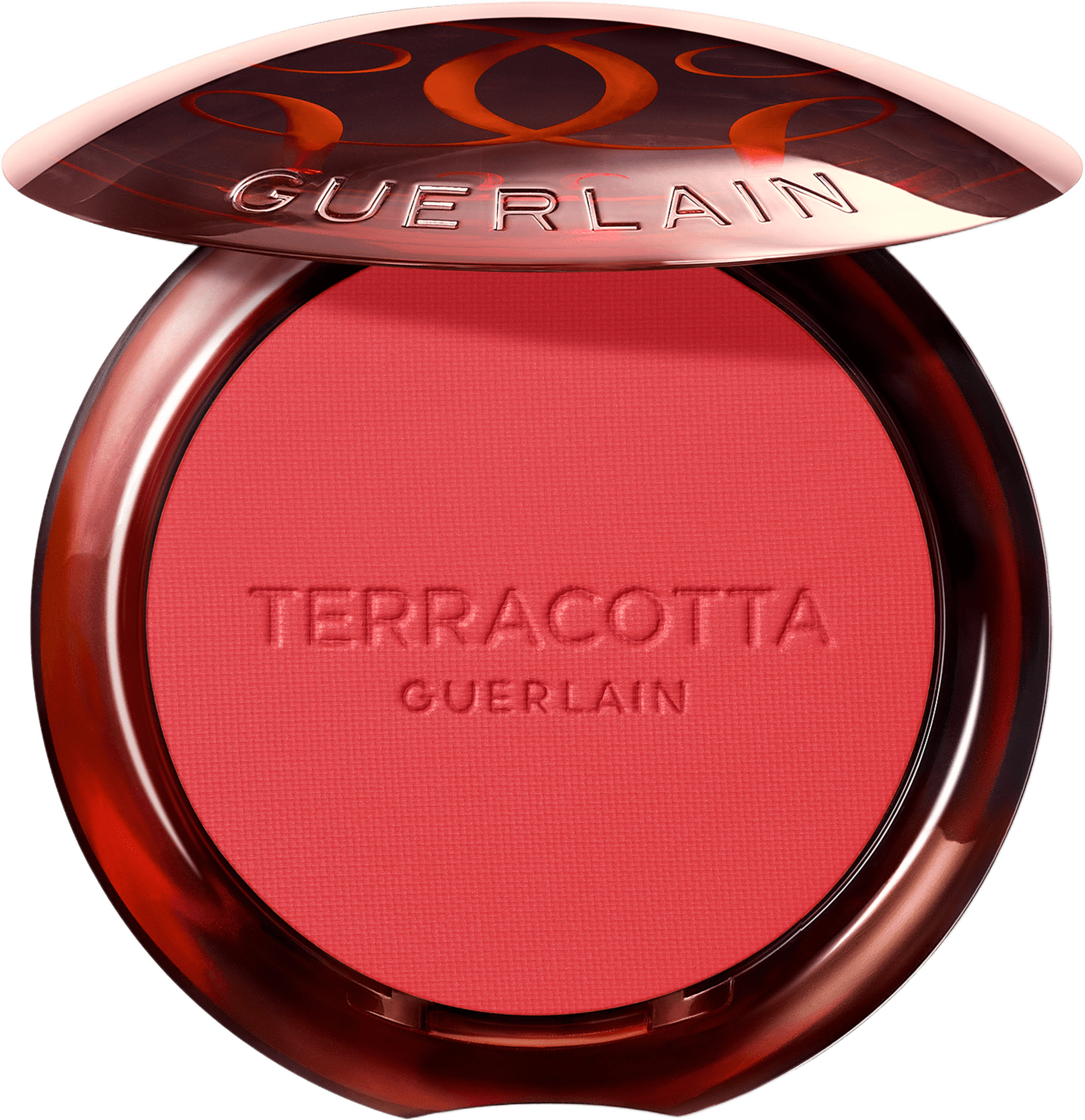 Terra Healthy Glow Powder Blush