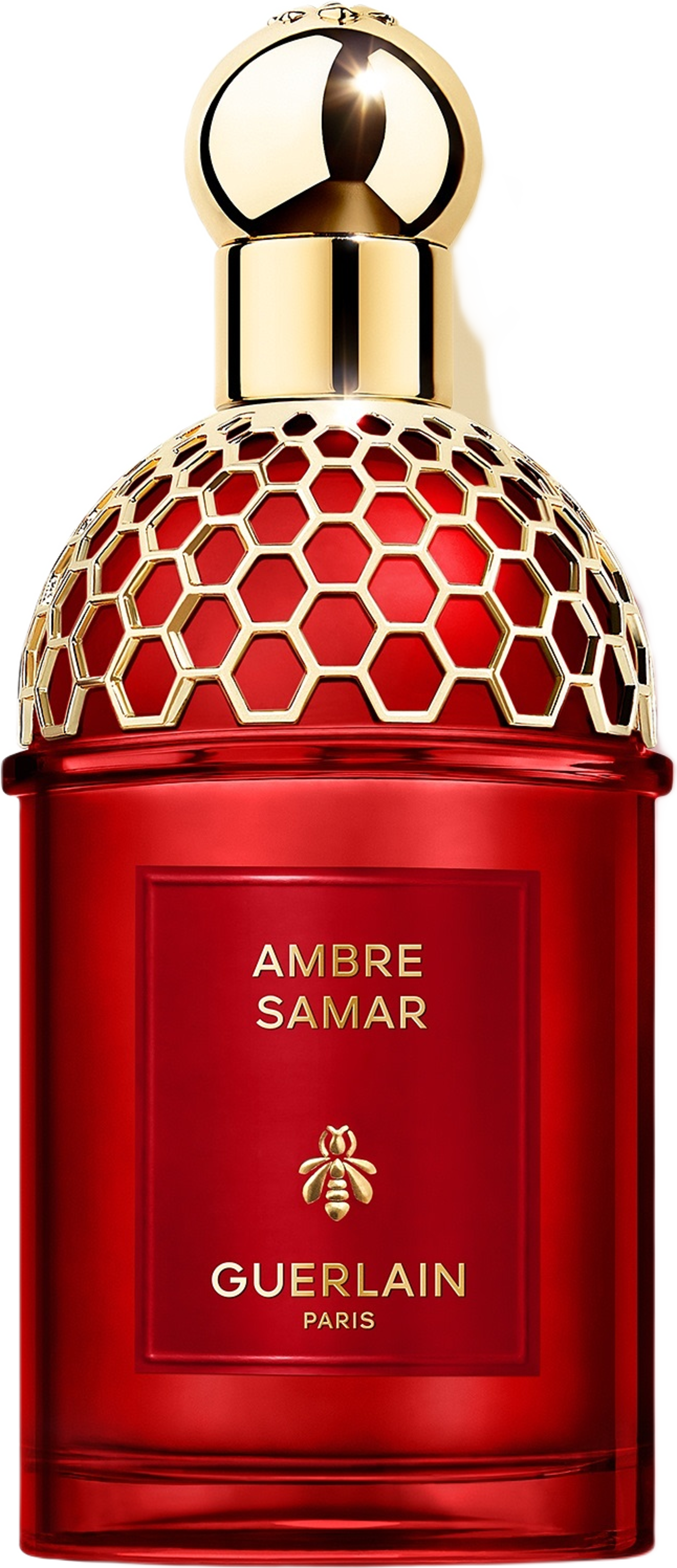Absolus Allegoria - Amber Samara EdP