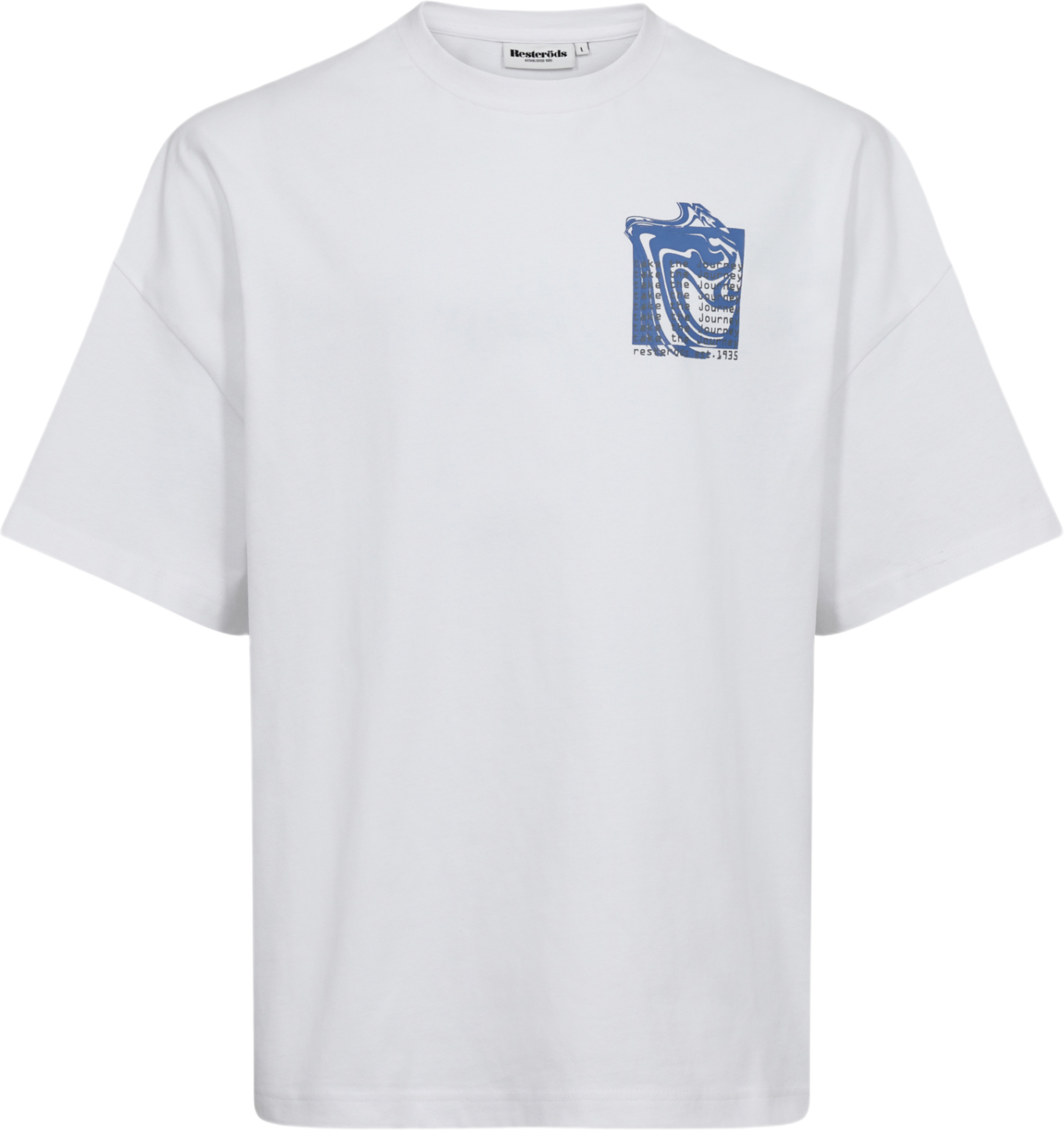 Dev T-shirt Print 100% Bomull