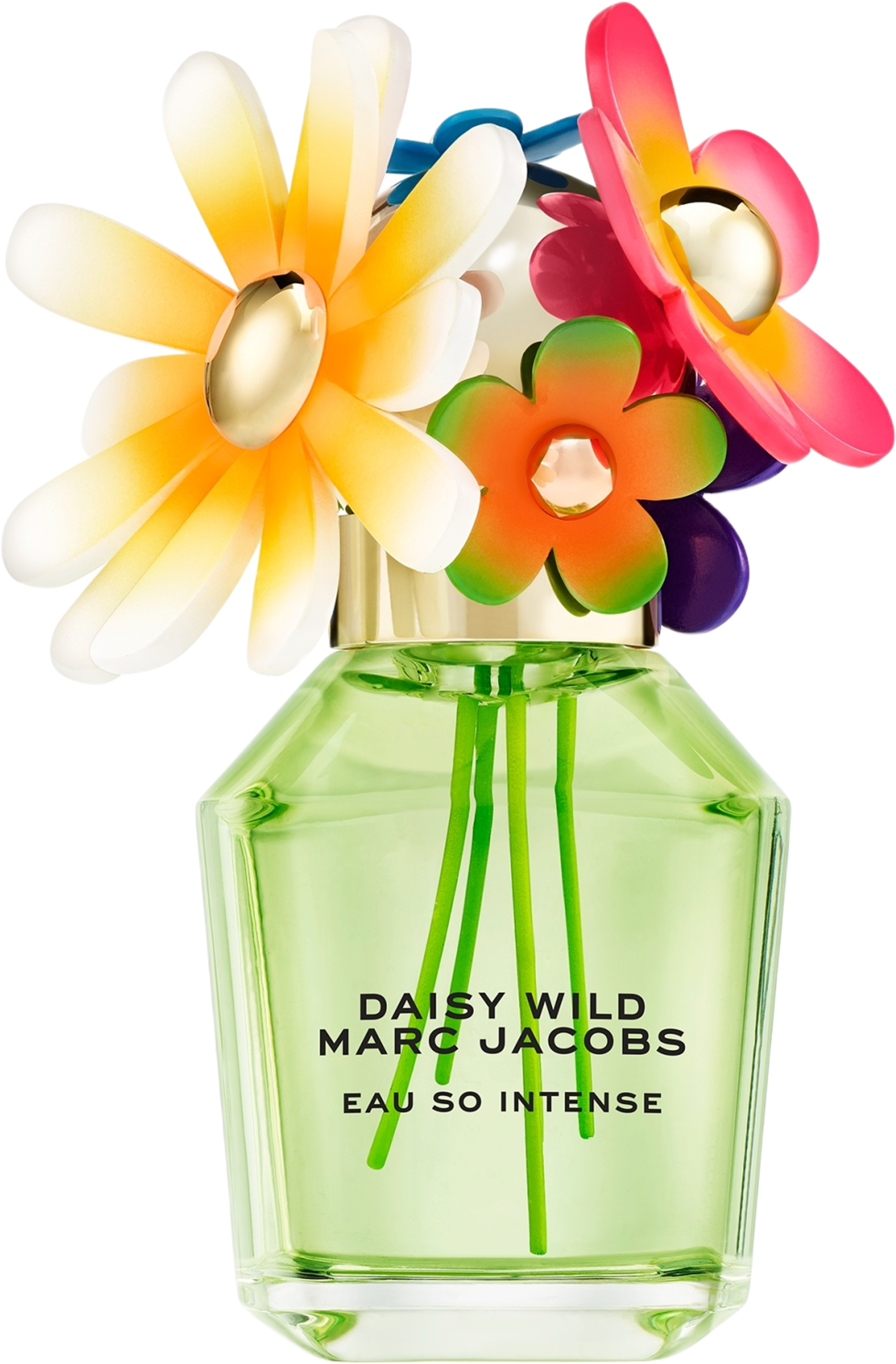 DAISY WILD INTENSE Eau de parfum