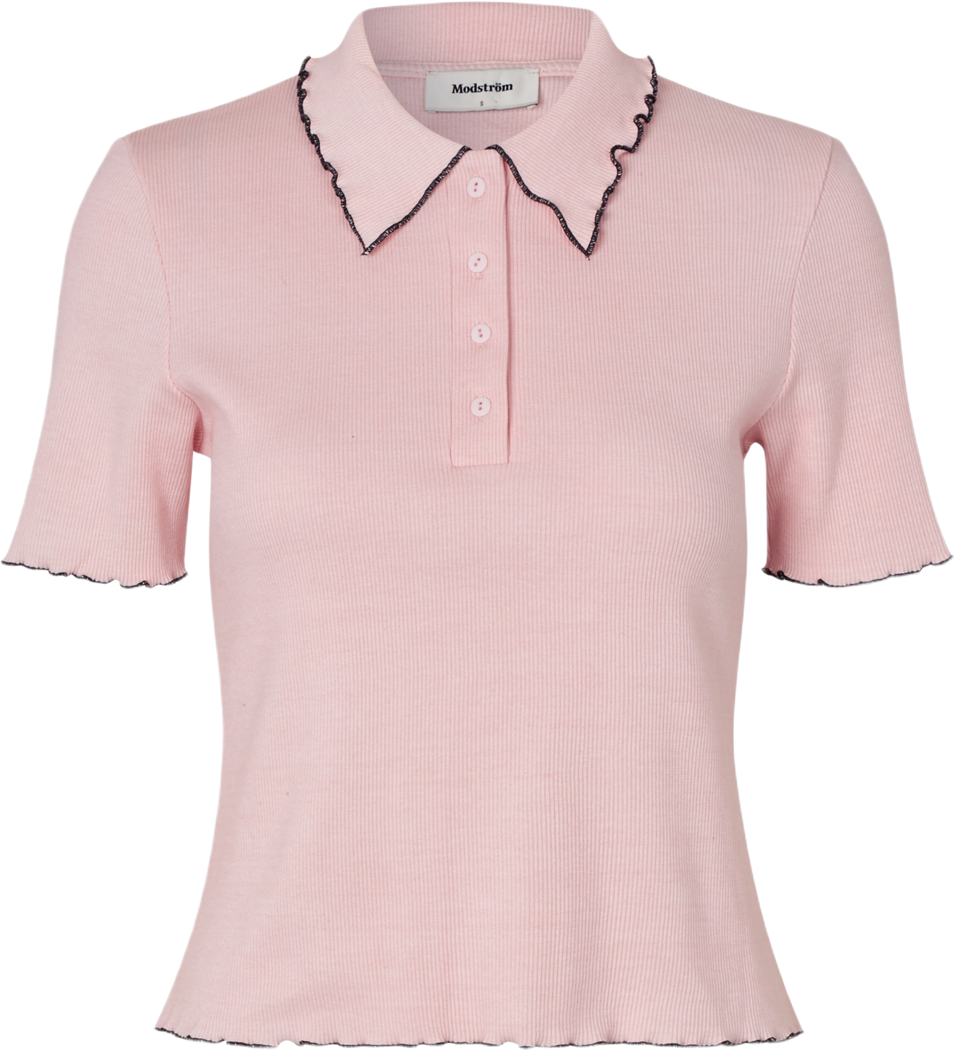 Magdalonemd Polo