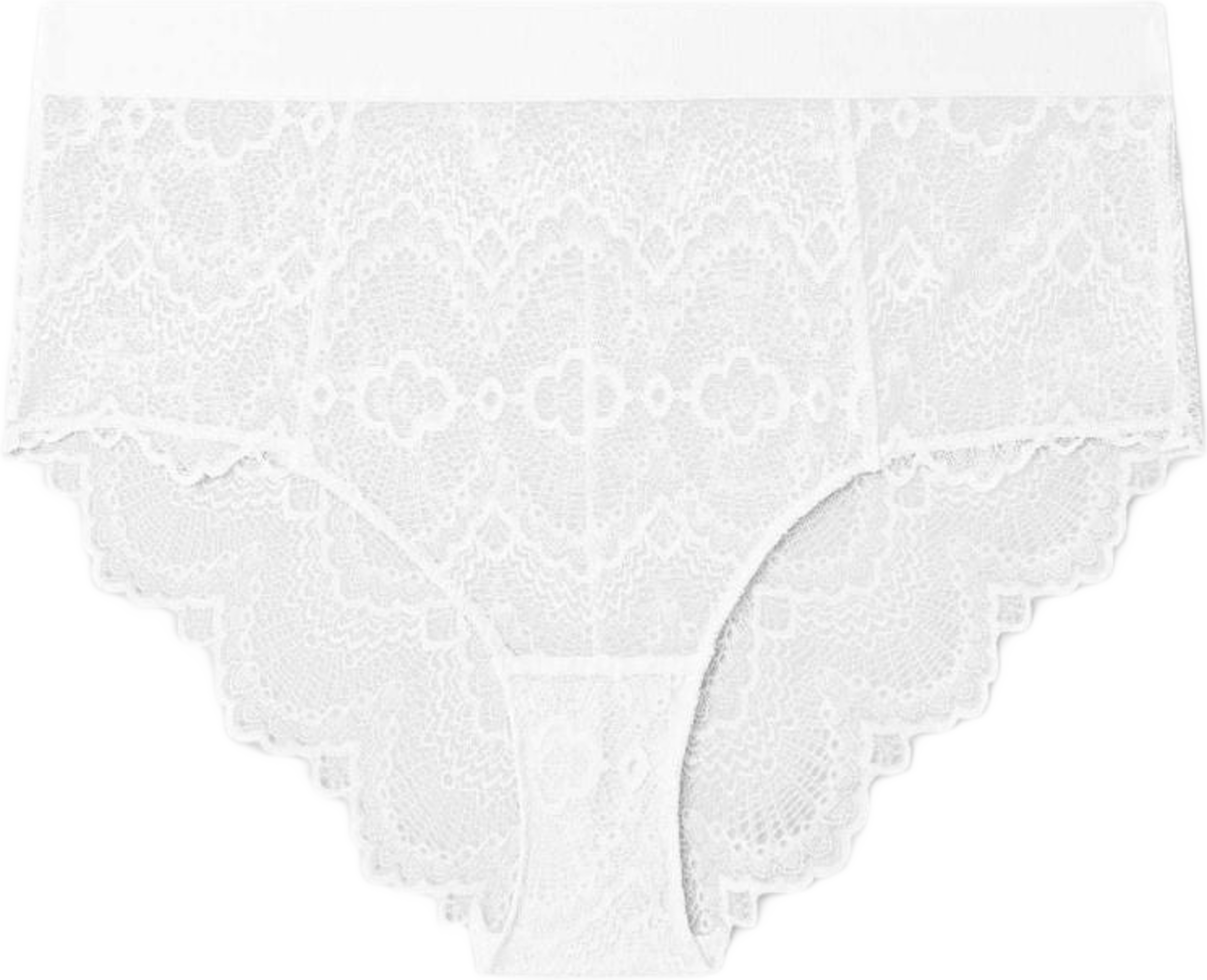 Lace Highwaist Briefs