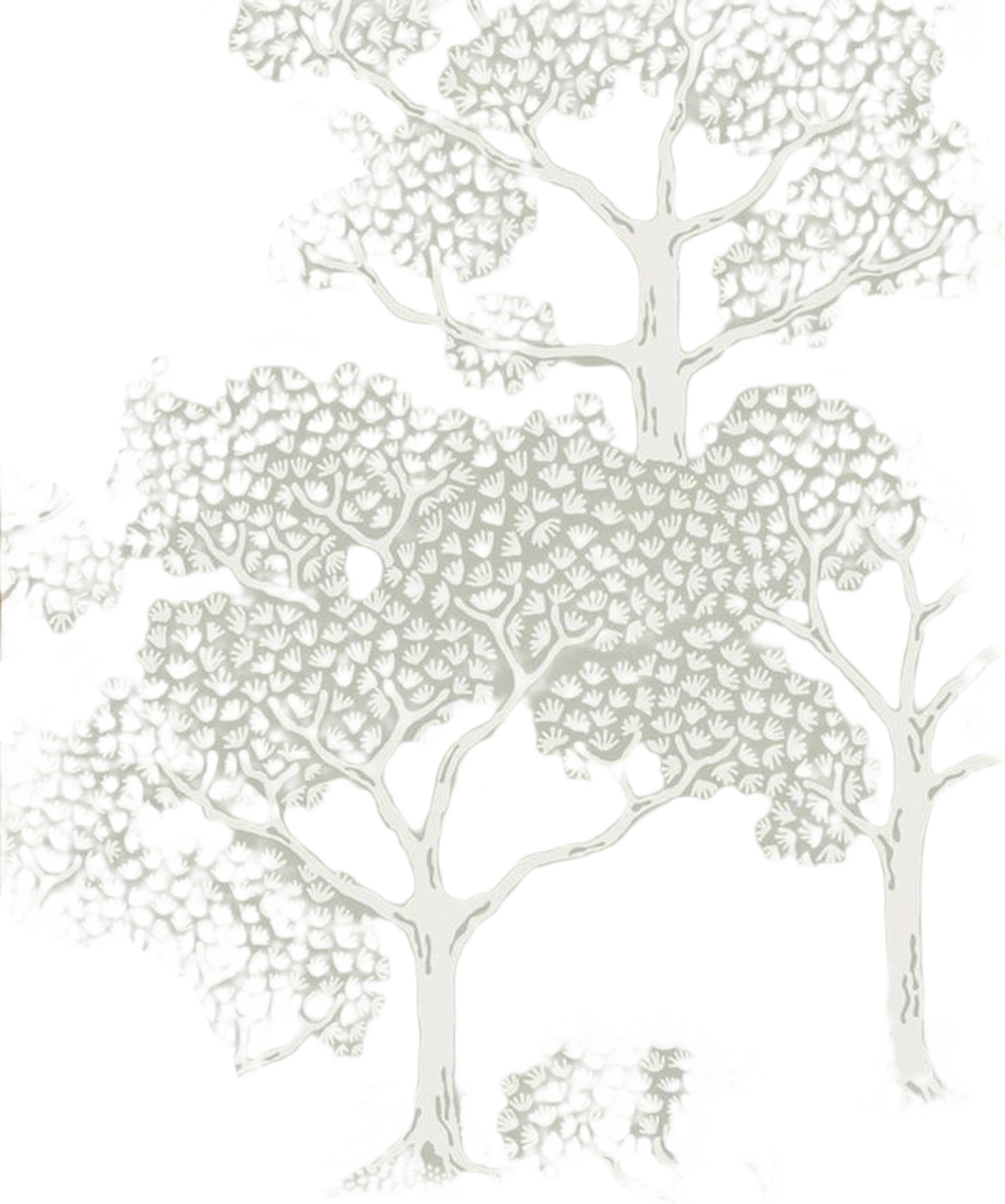 Tapet Woodland Notes - Sage Green
