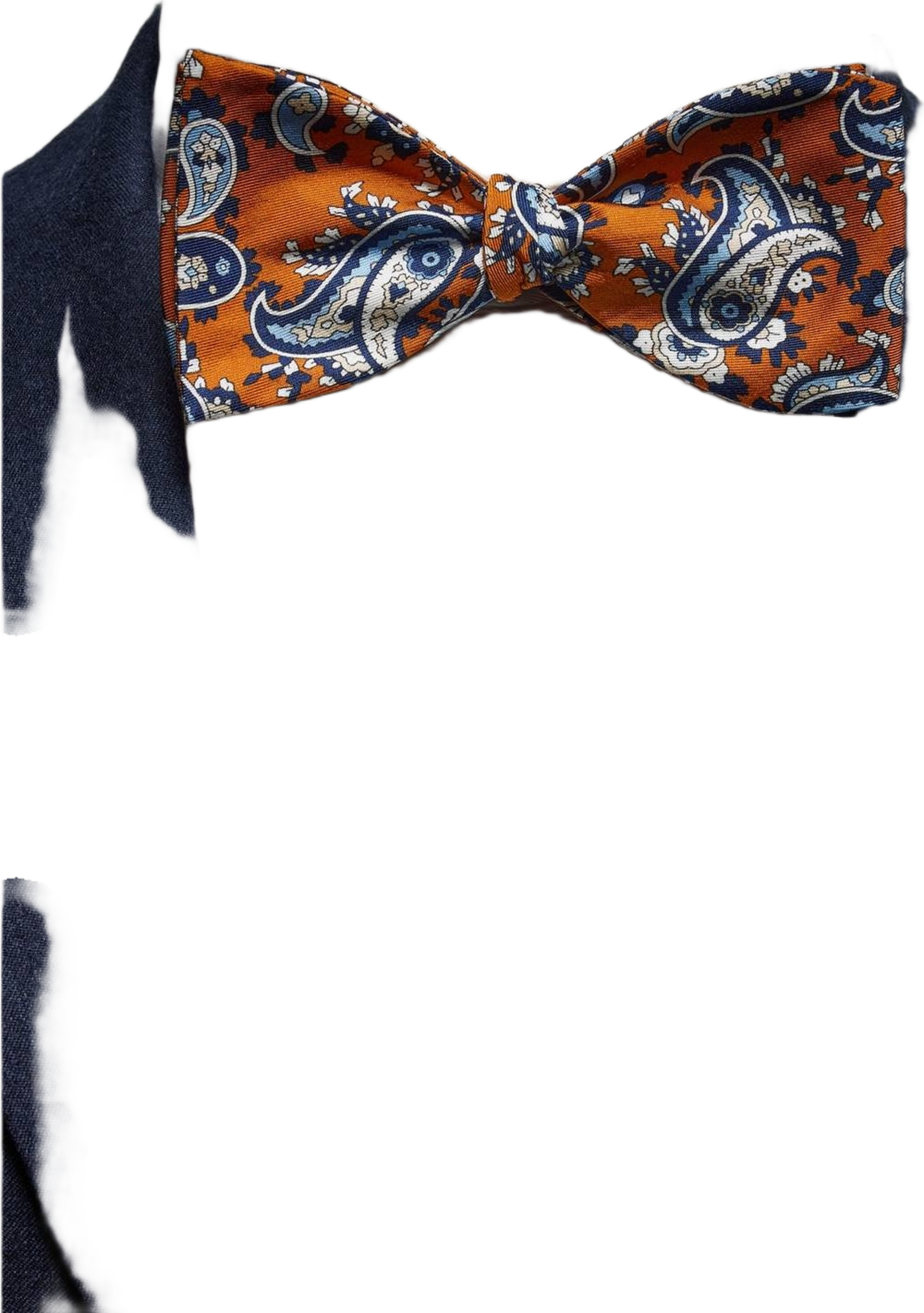 Blue Bow Tie Paisley