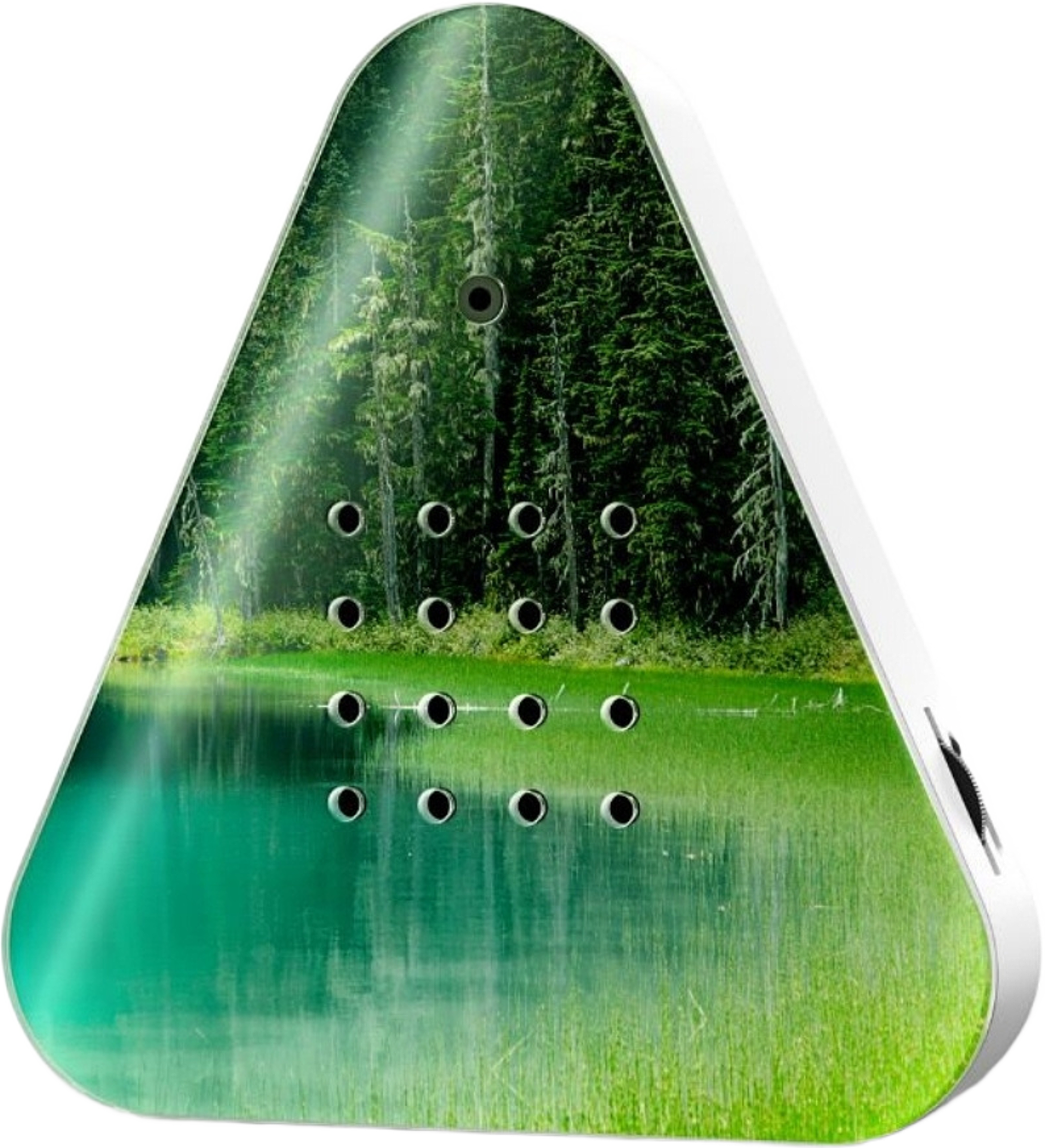 Lakesidebox Speldosa Sjömiljö Forest Lake