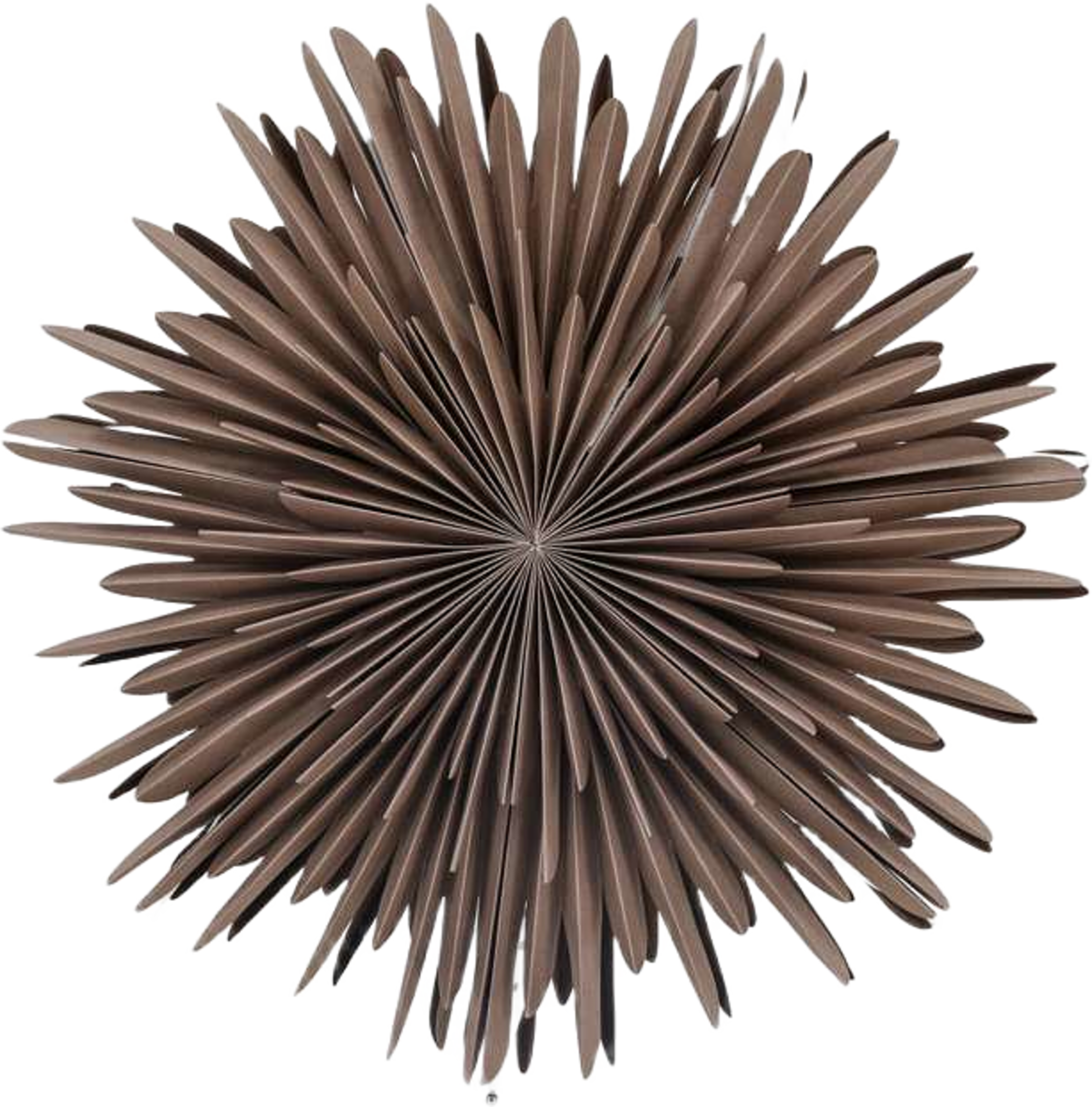 Sälen Adventsstjärna, från Venture Home, i färgen greige,white. Klicka för att öppna bilden i stort format