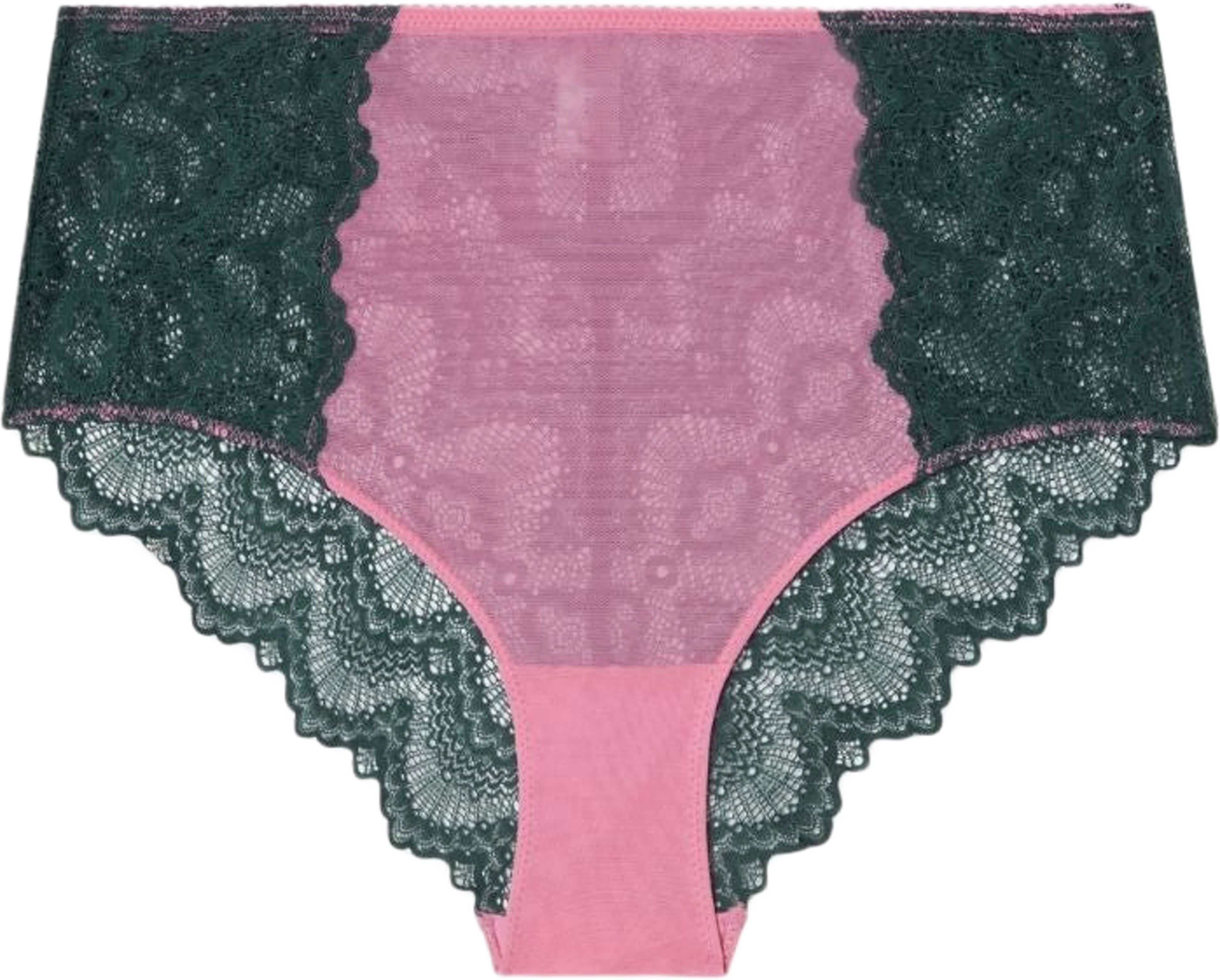 Lace Mesh Highwaist Briefs