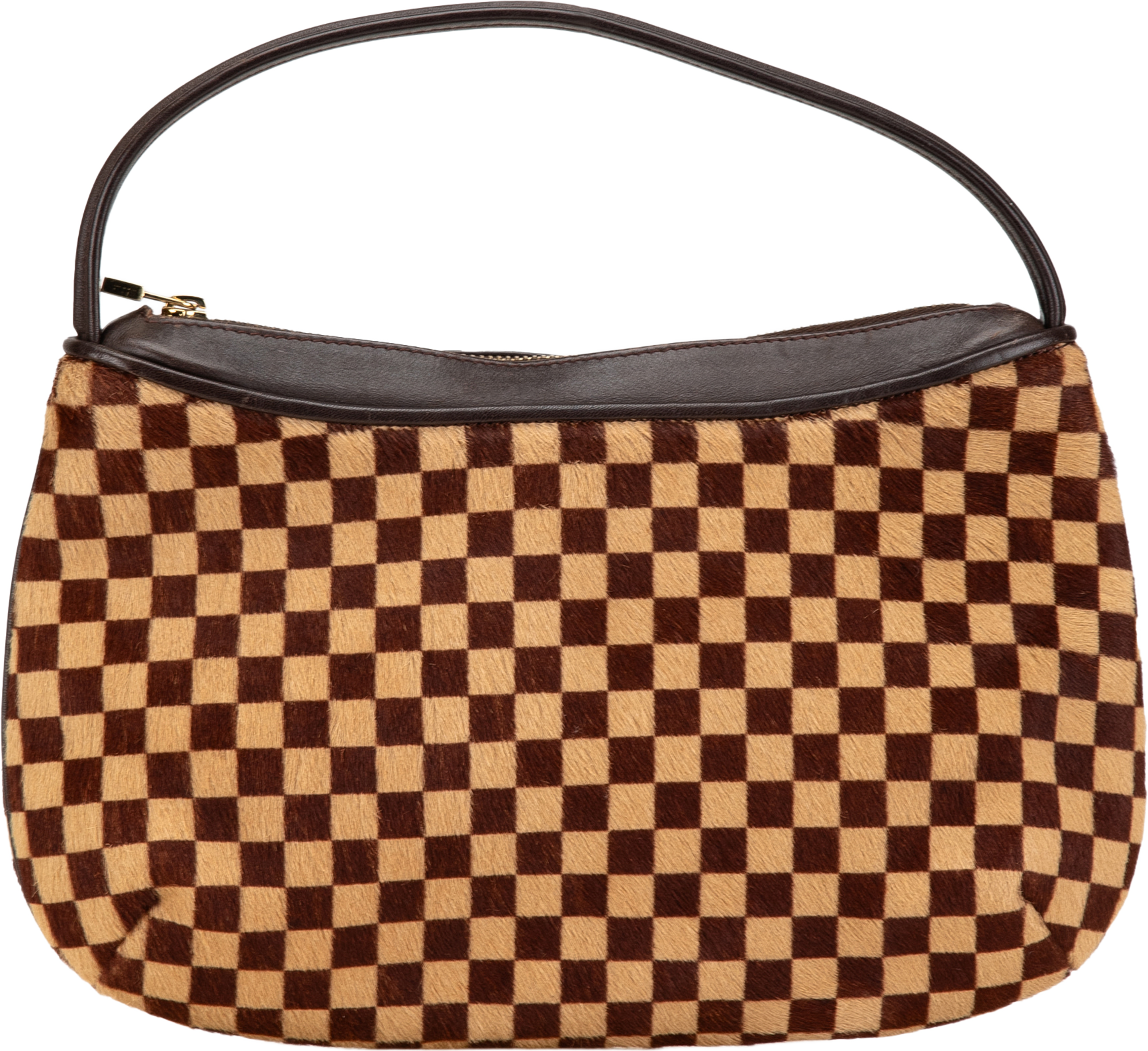 Louis Vuitton Damier Sauvage Tigre