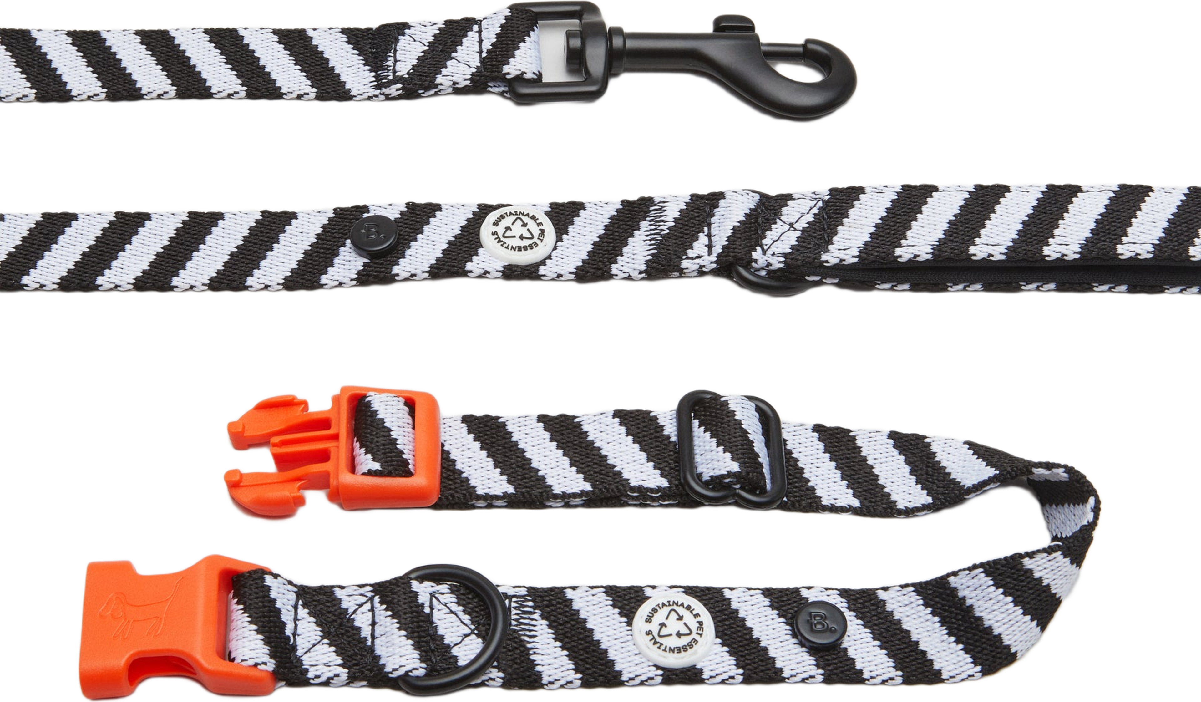 Zebra Dog Collar Walk Kit - L