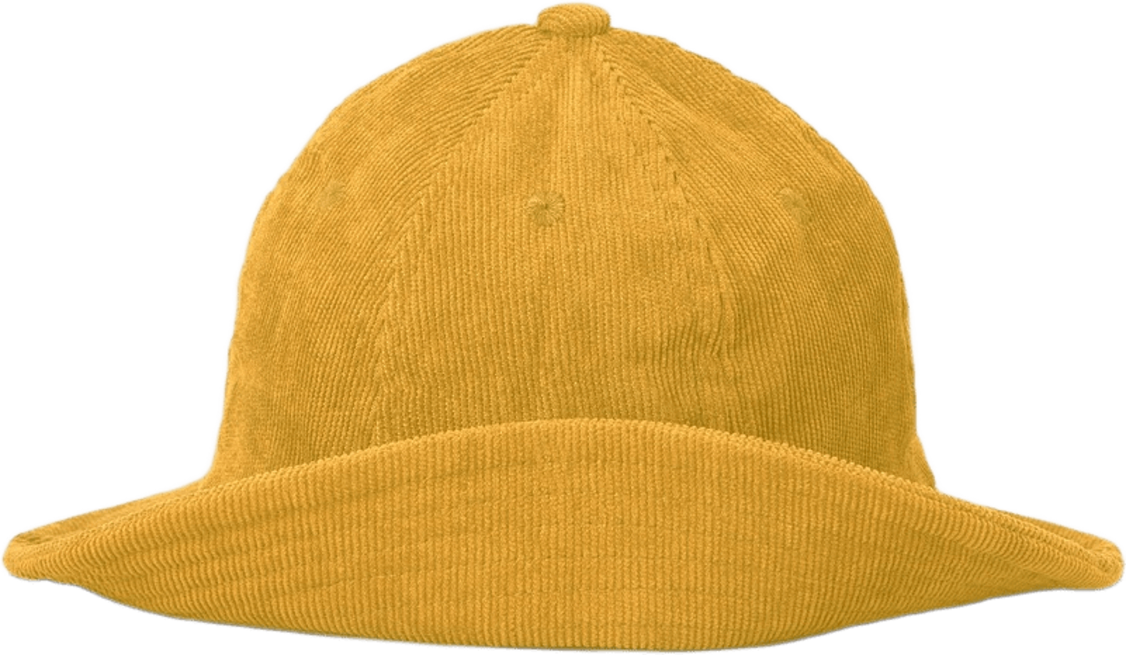 Sylvester Hat