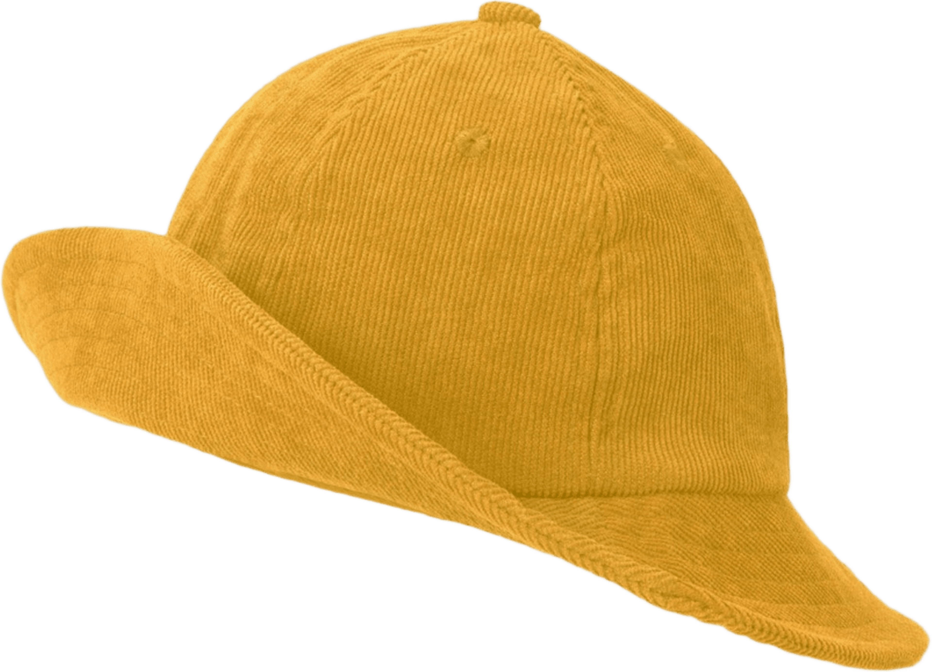 Sylvester Hat