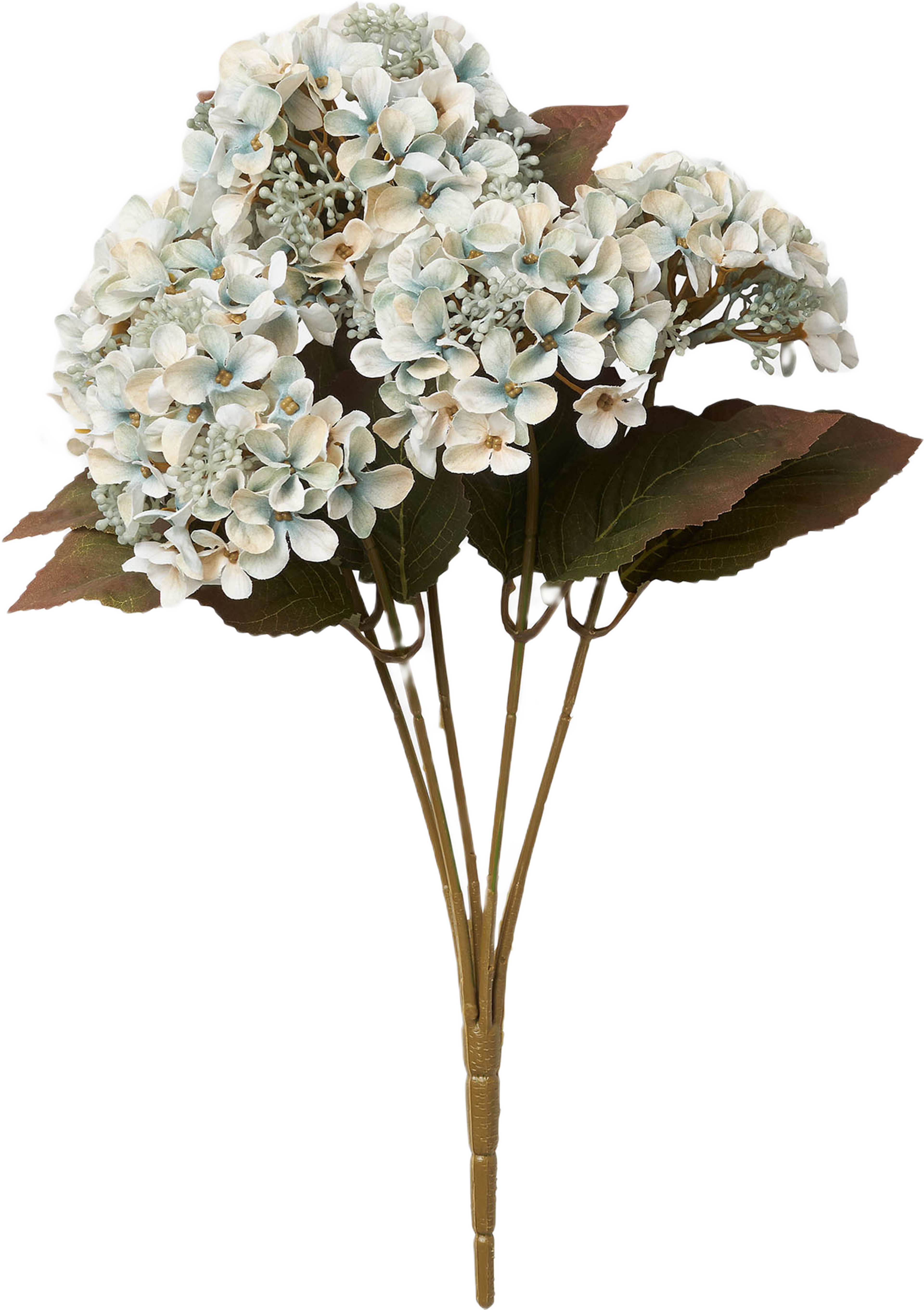 Konstväxt hortensia 5 st