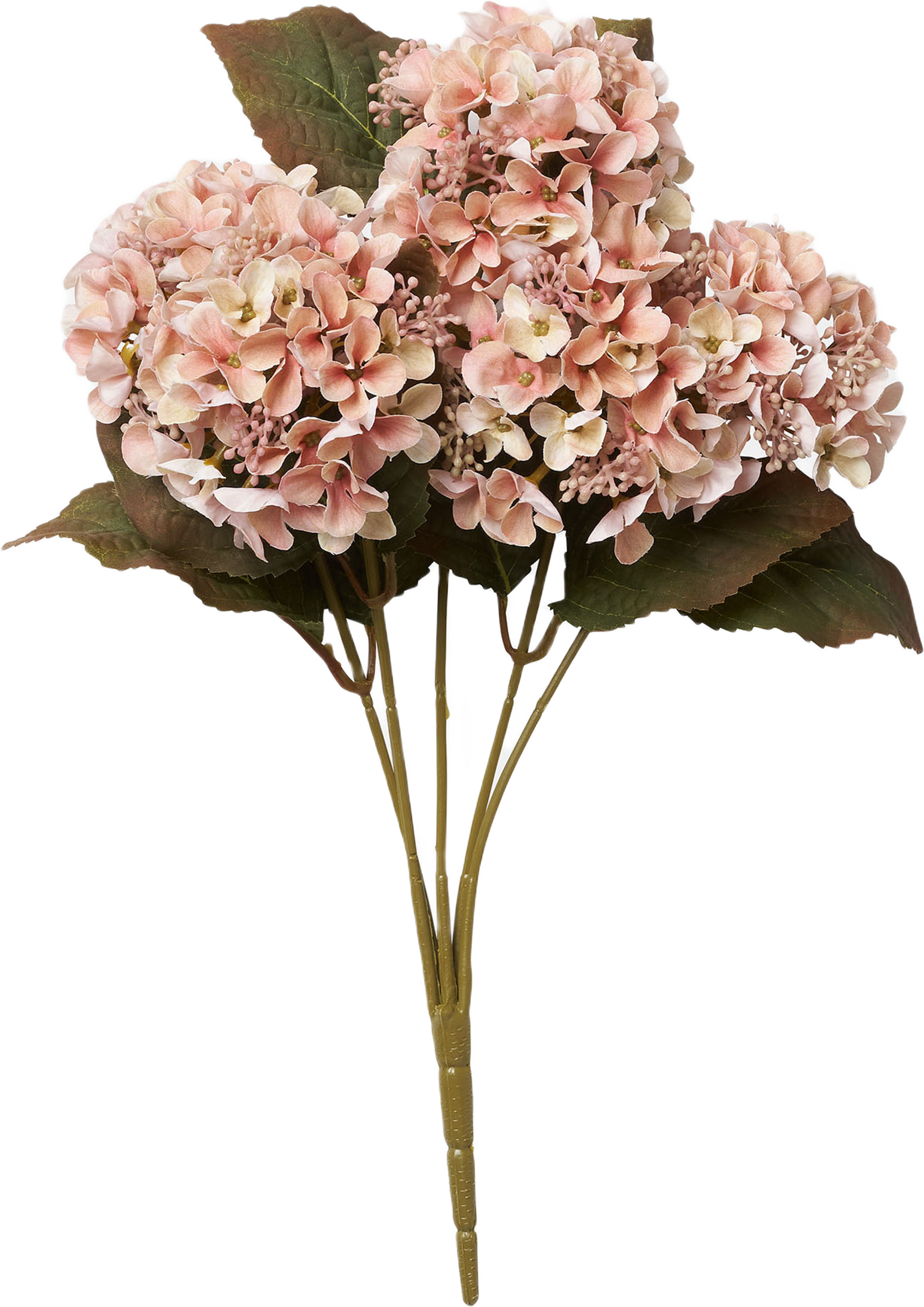 Konstväxt hortensia 5 st