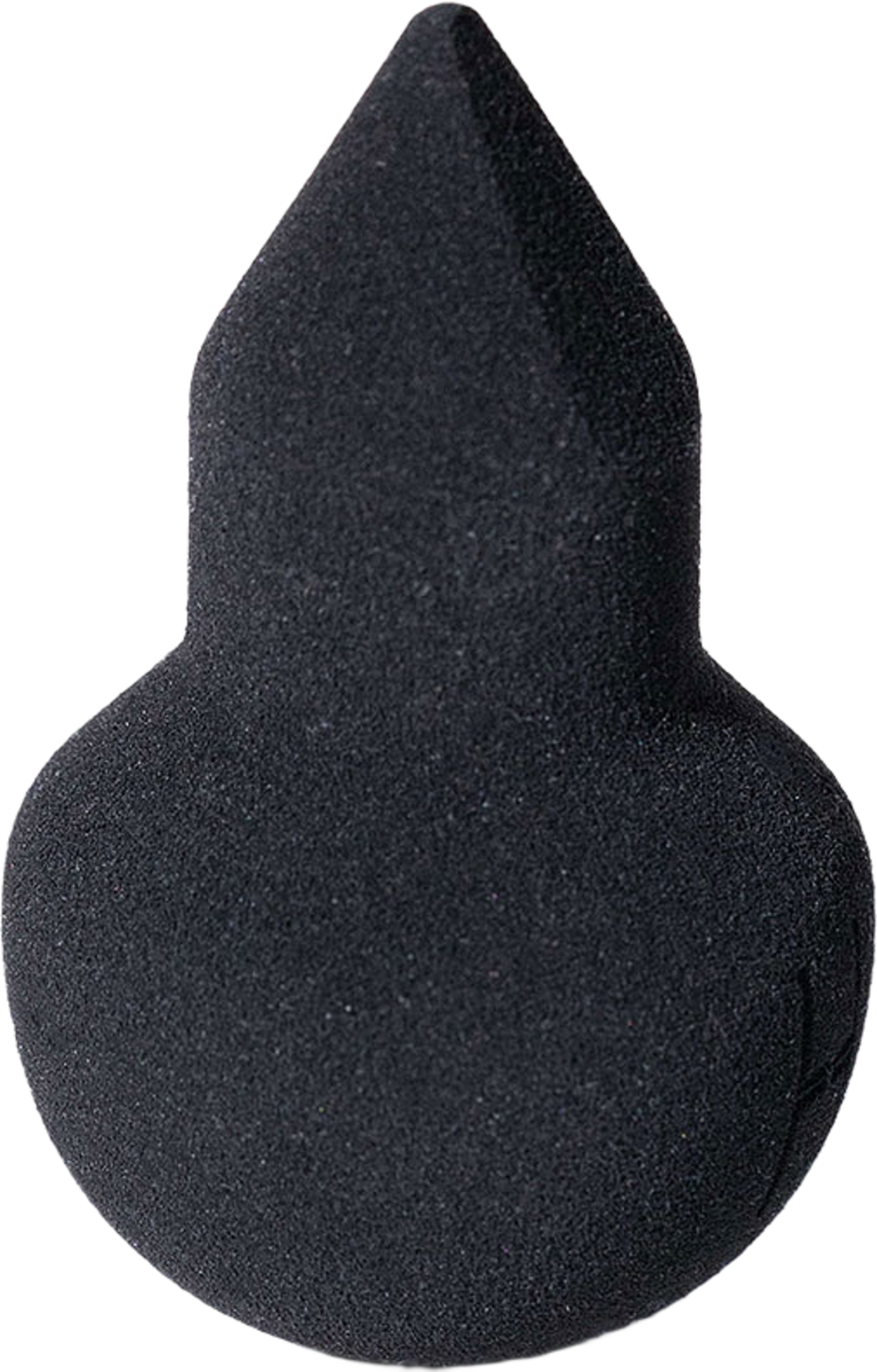 The Sponge