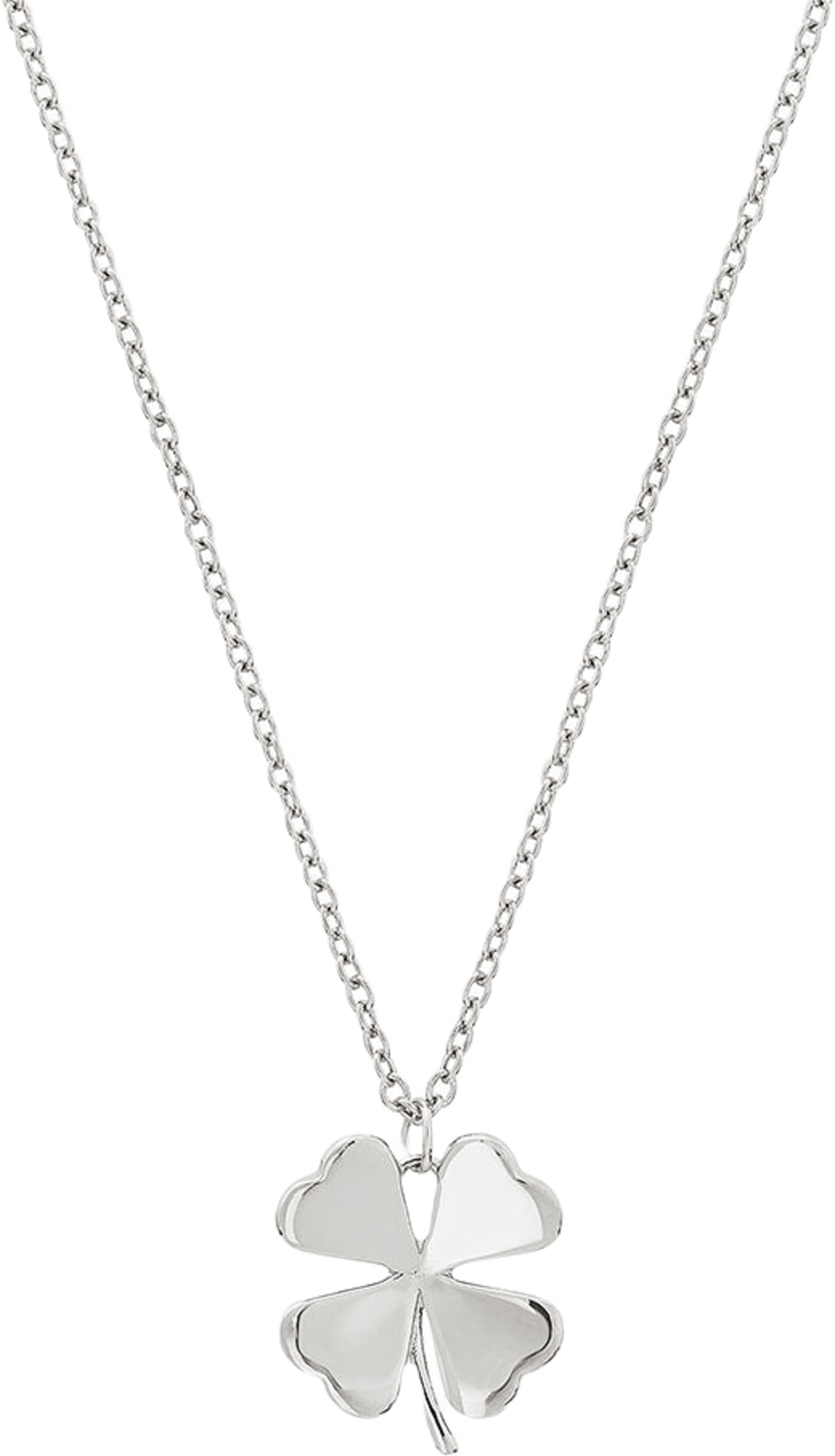 Lucky Necklace Steel