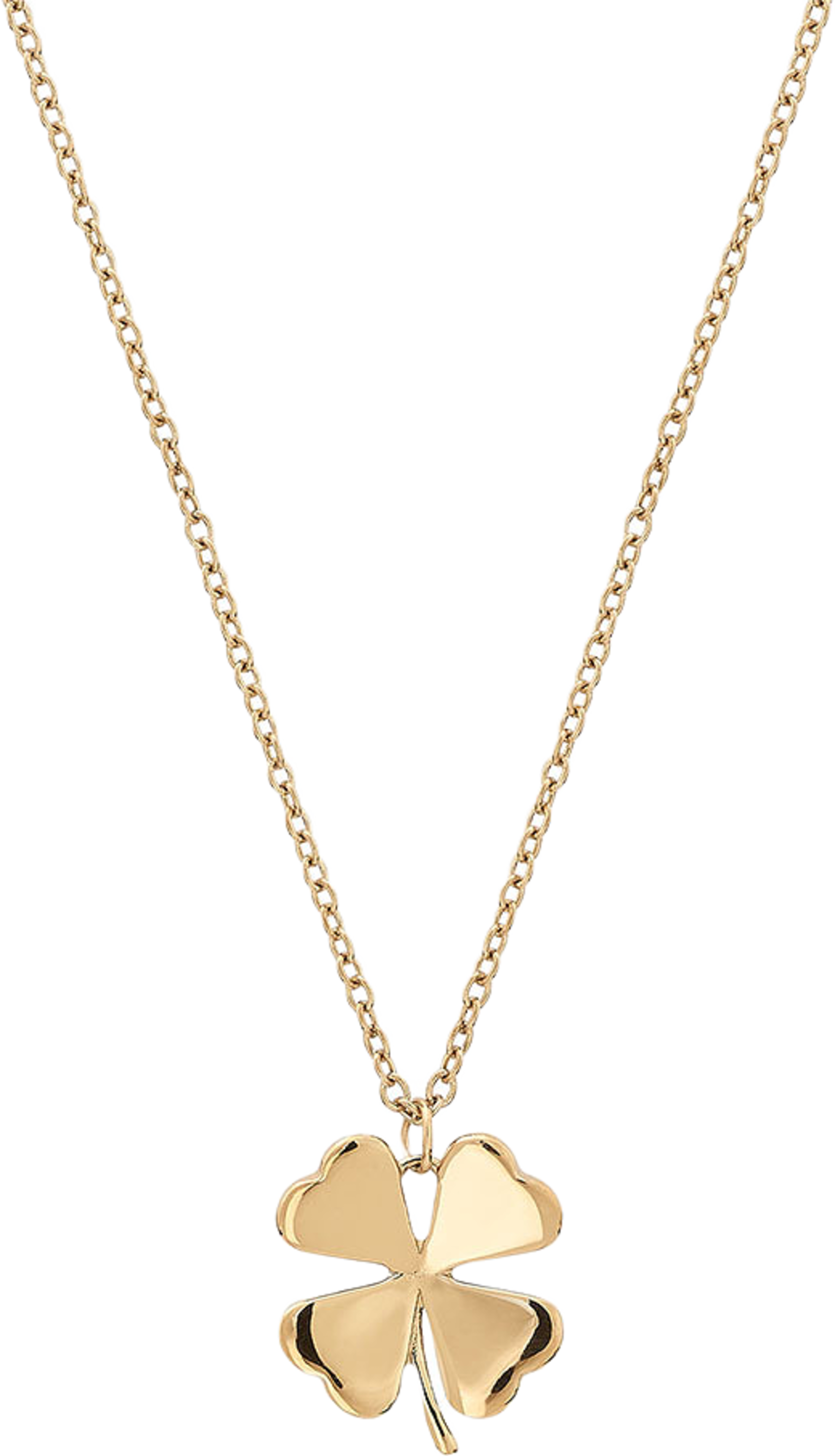 Lucky Necklace Gold
