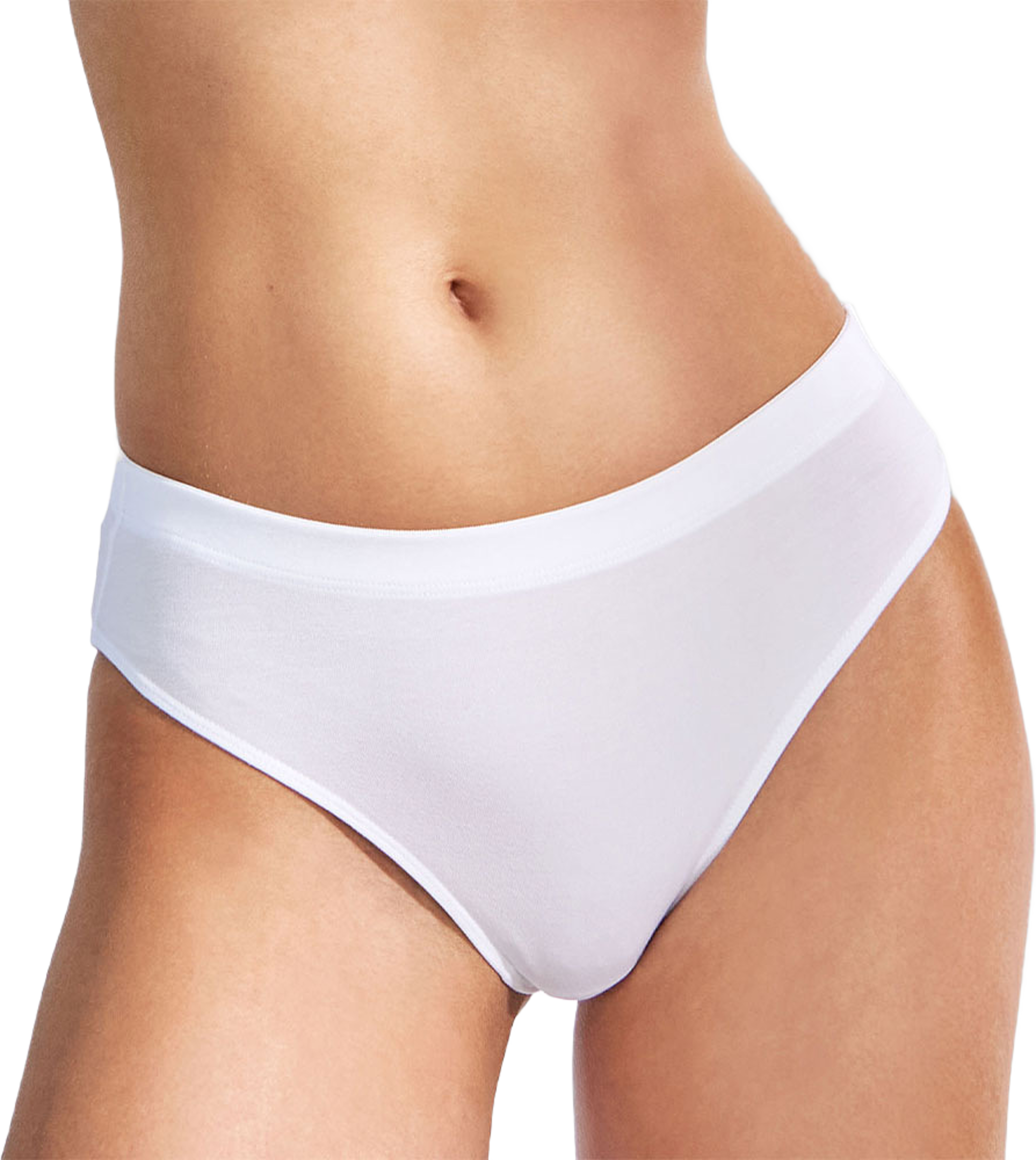 Brief