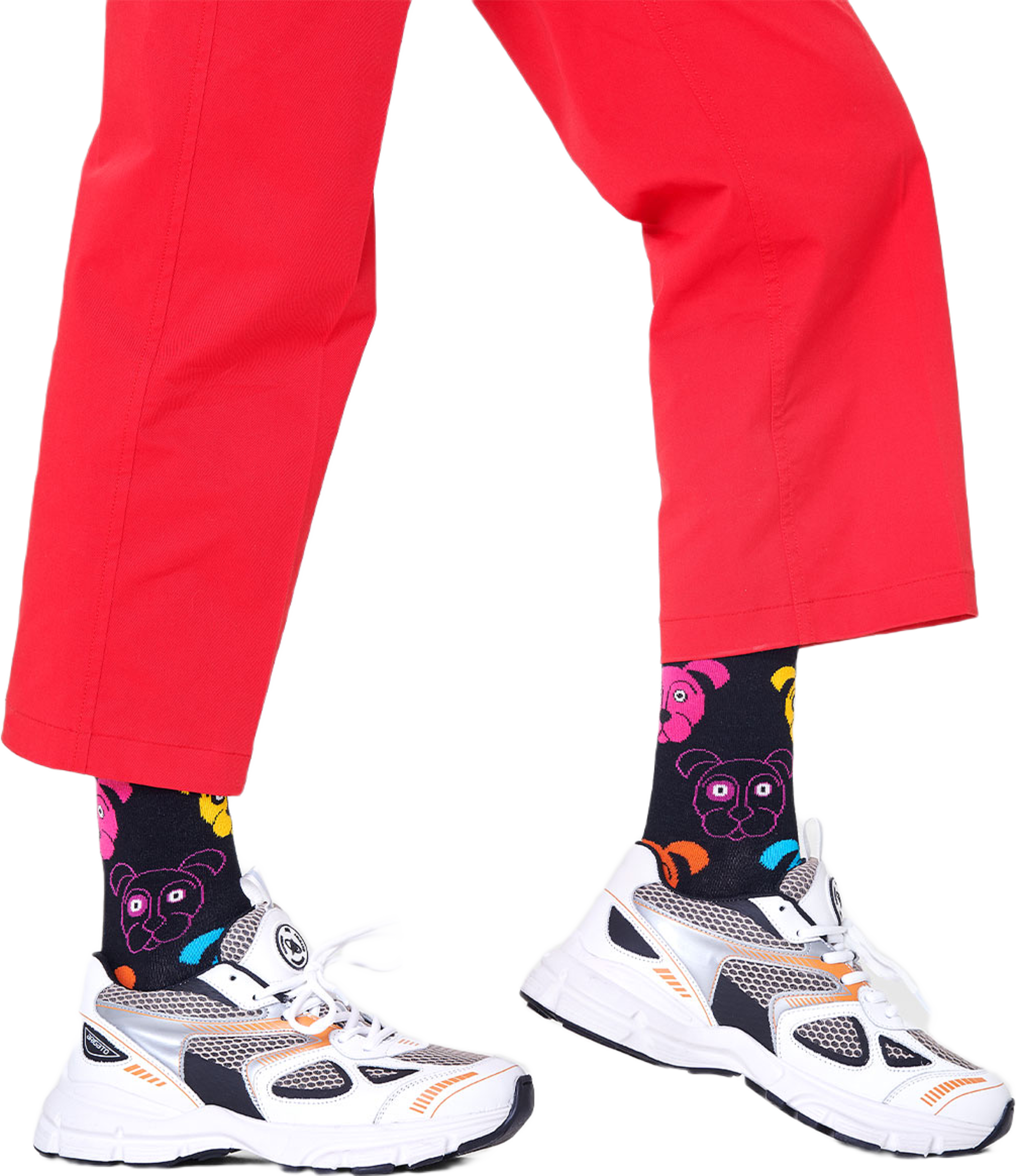 Dog Sock