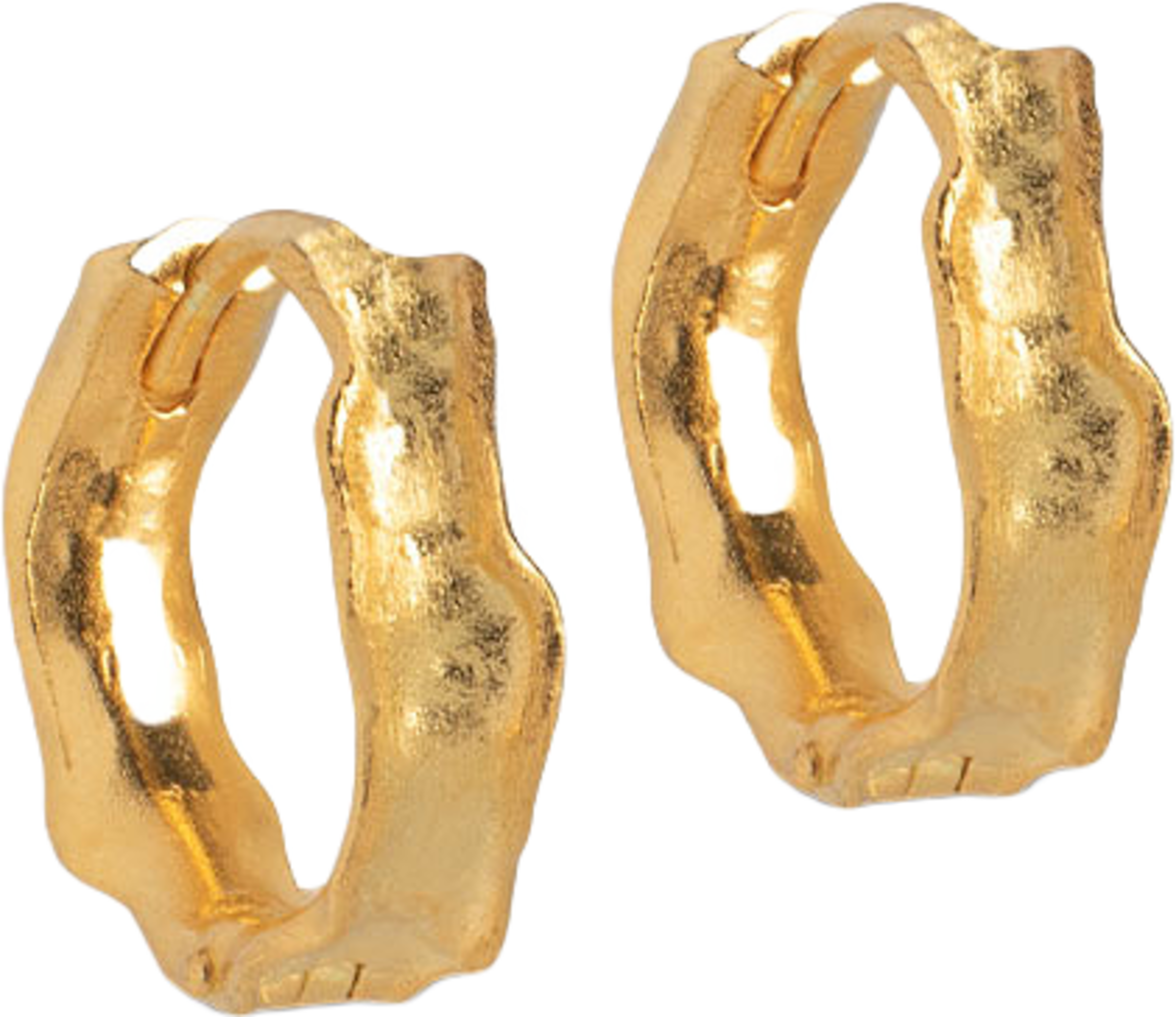 Earrings Hoops Everly