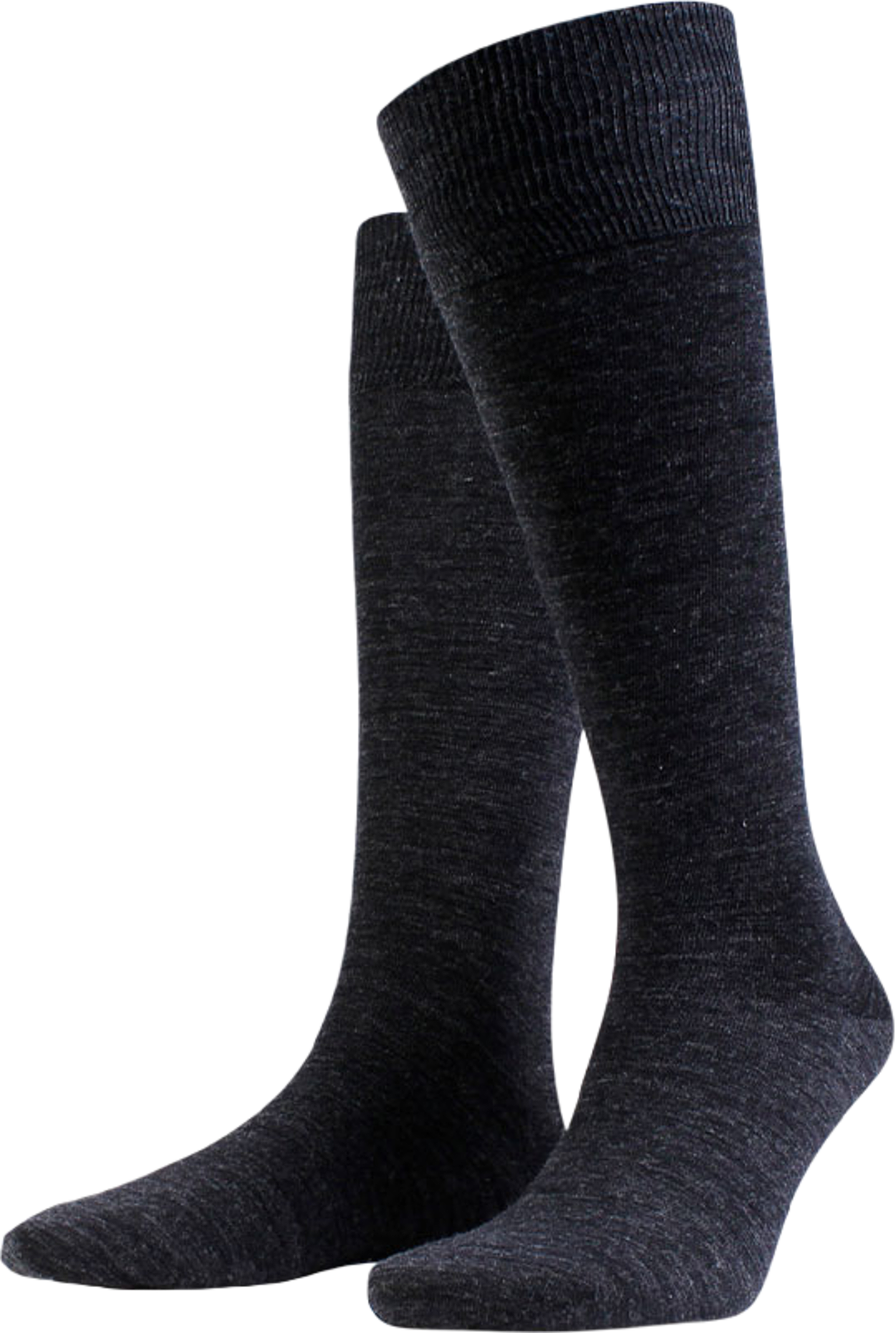 Icon Knee High Sock