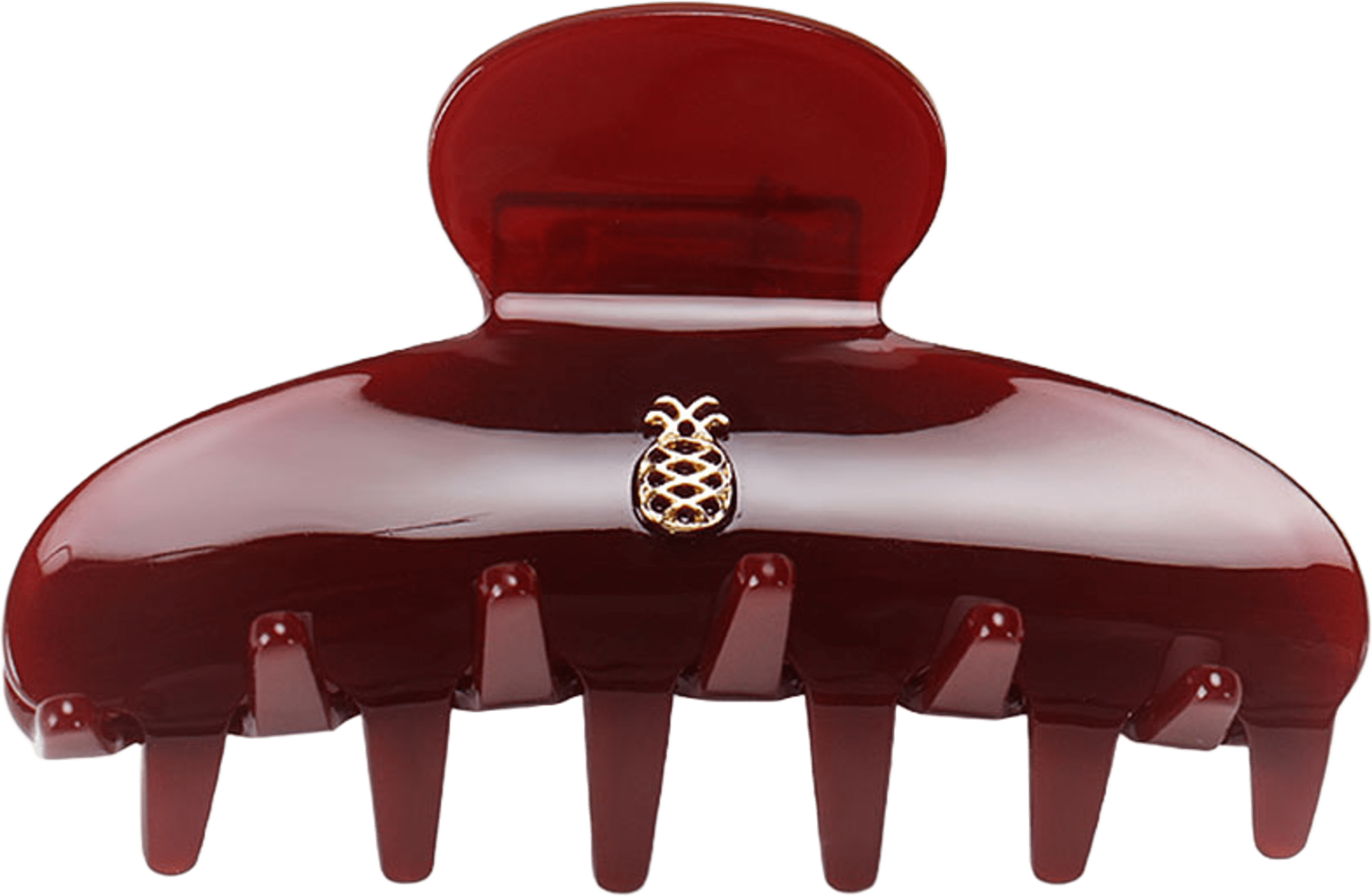 IA BON Burgundy Hair claw