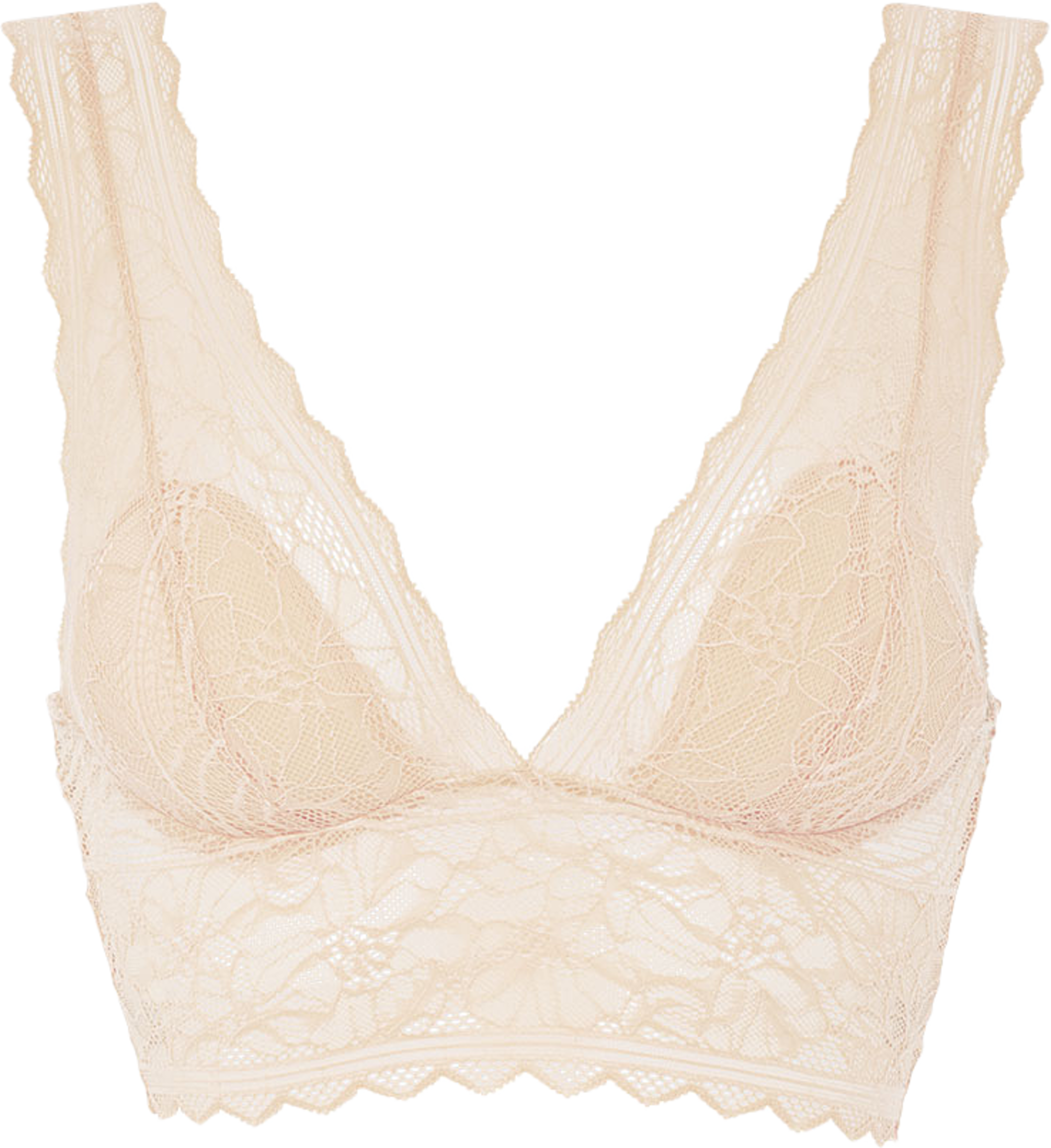 Floral Touch Wirefree Bra