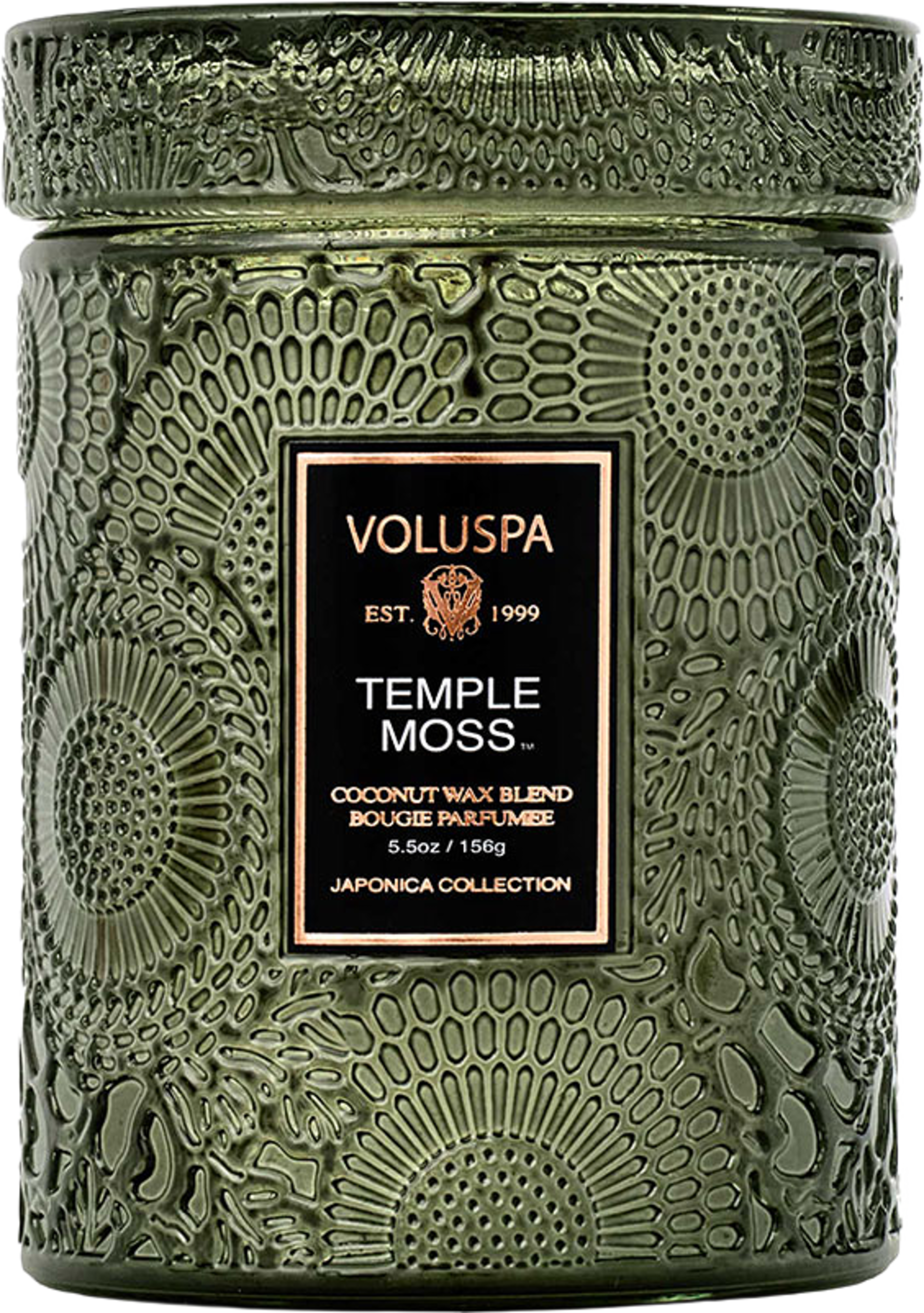 Small Jar Temple Moss