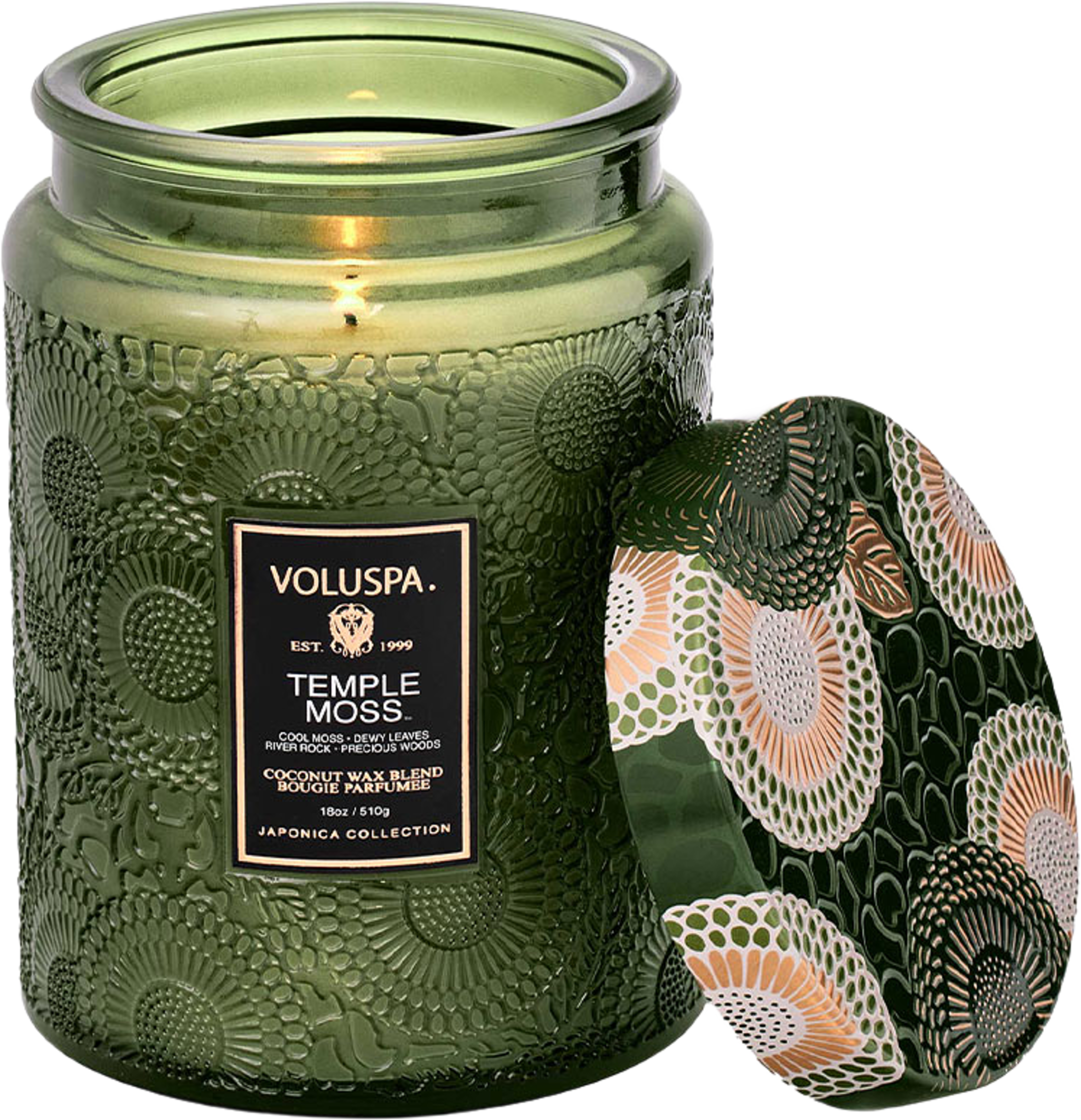 Large Jar Temple Moss